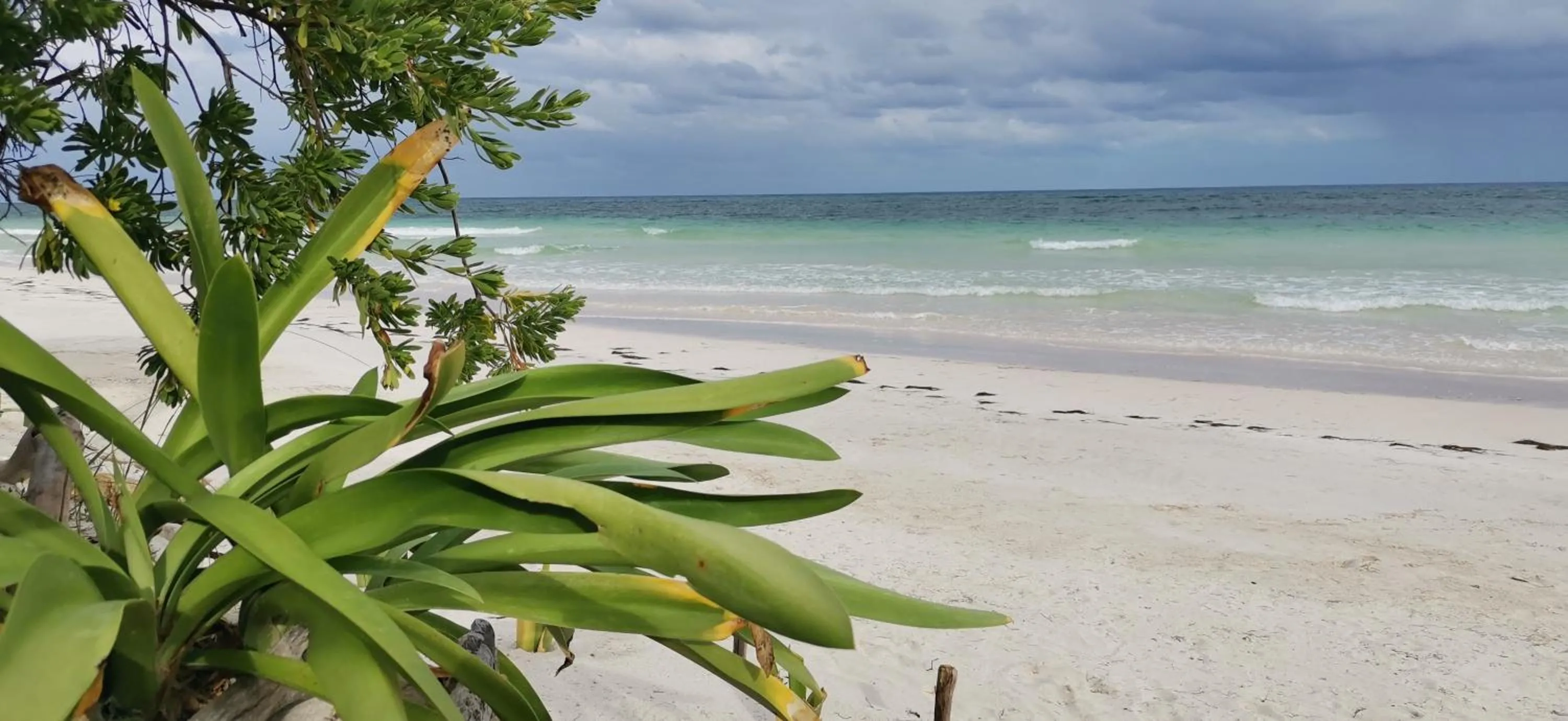 Beach in Casa Hayhu