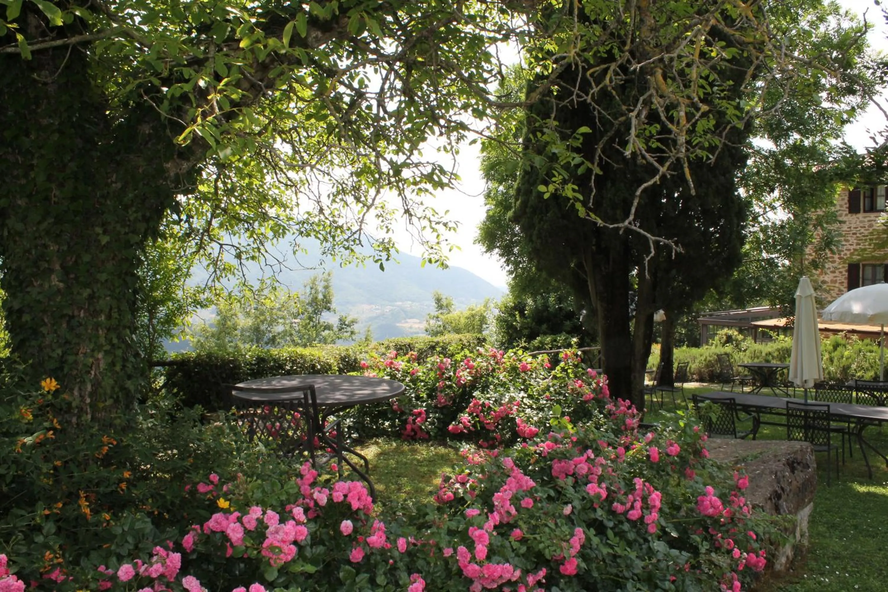 La Tavola Dei Cavalieri