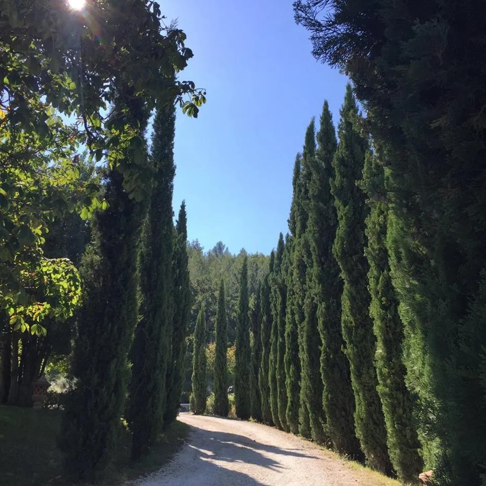 Day in Agriturismo Monastero Di San Biagio