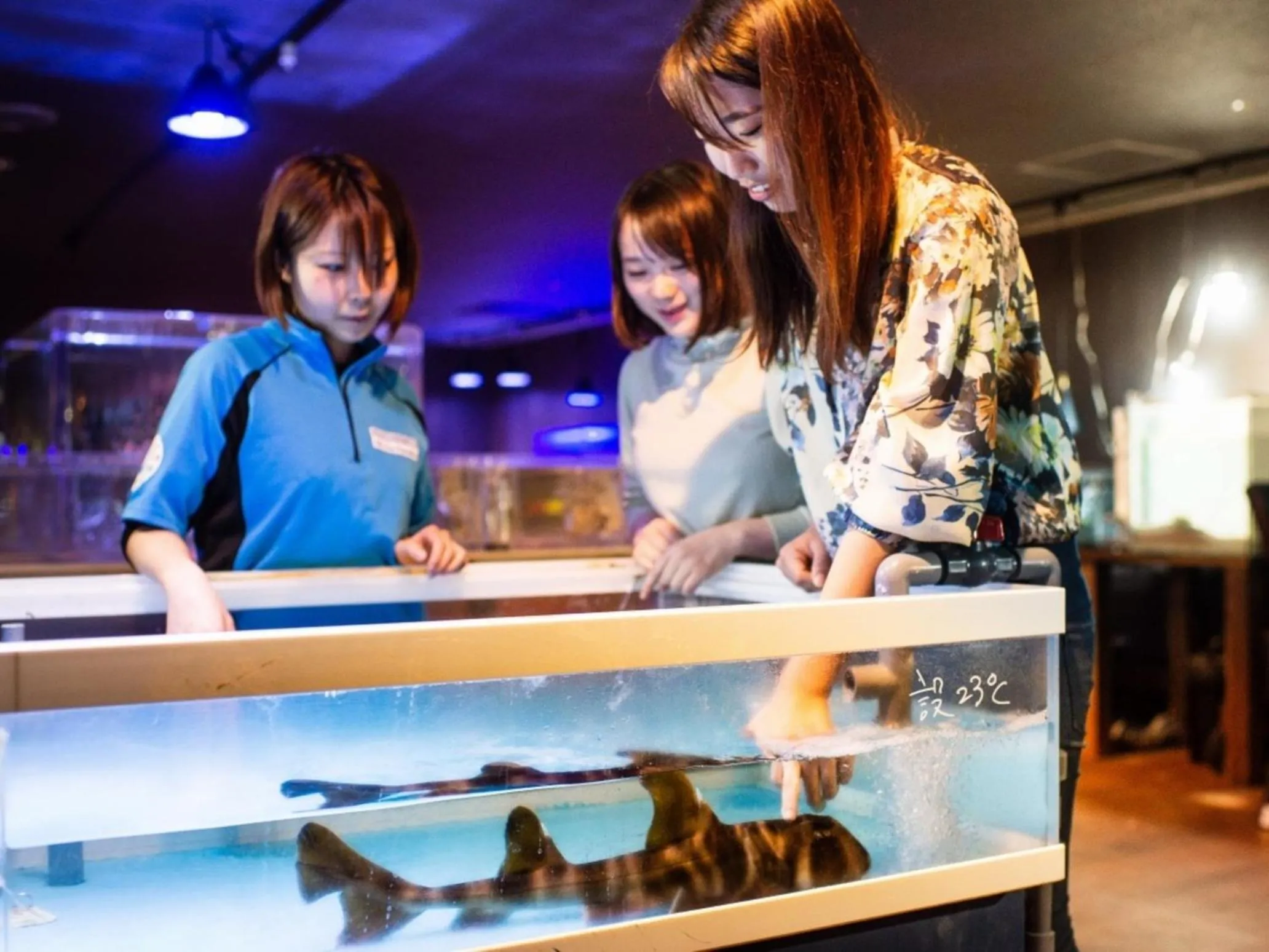 Nearby landmark in Hotel Castle Inn Ise Meotoiwa