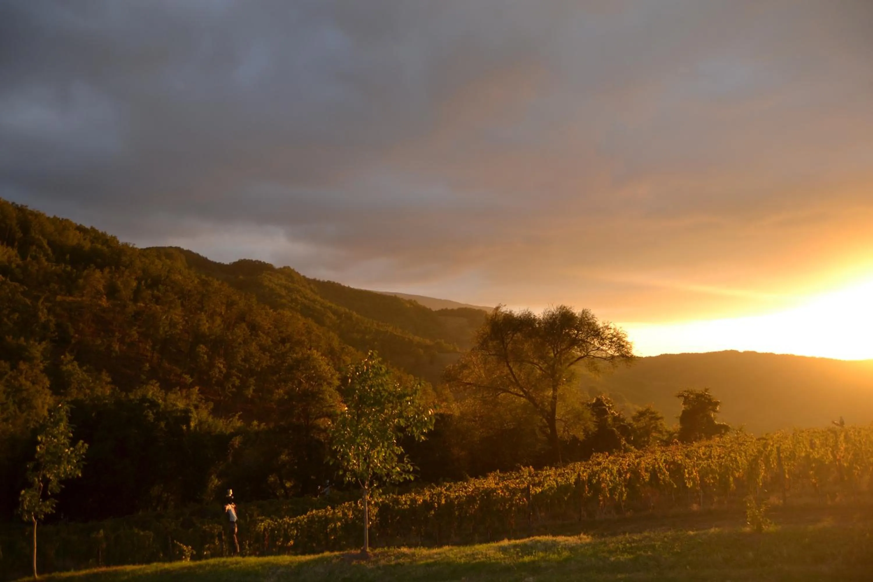 Natural landscape in Agriturismo Le Case