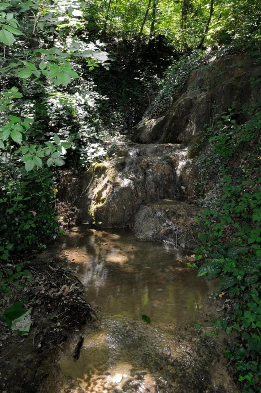 Natural landscape in Agriturismo Le Case