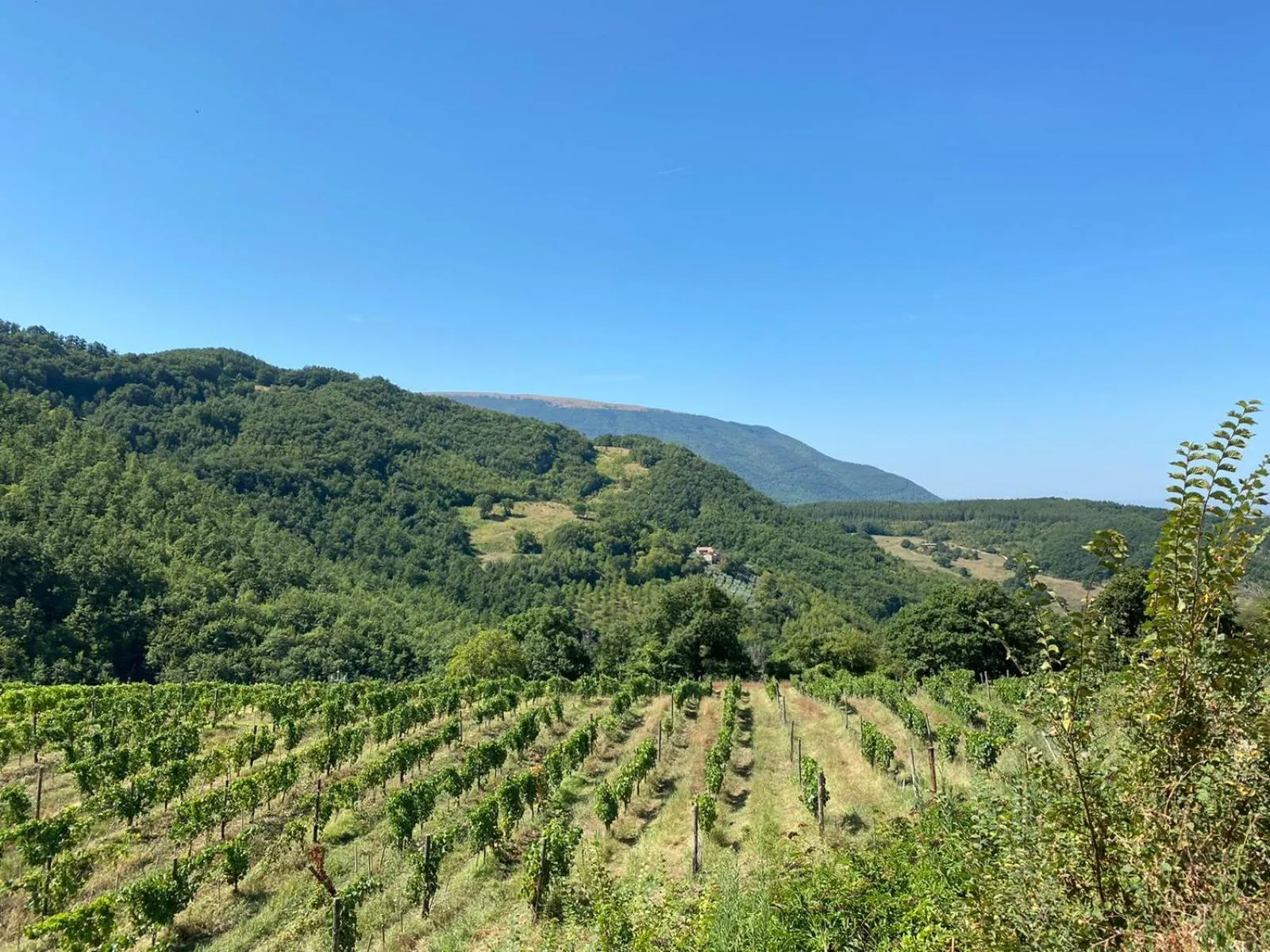 Natural landscape in Agriturismo Le Case