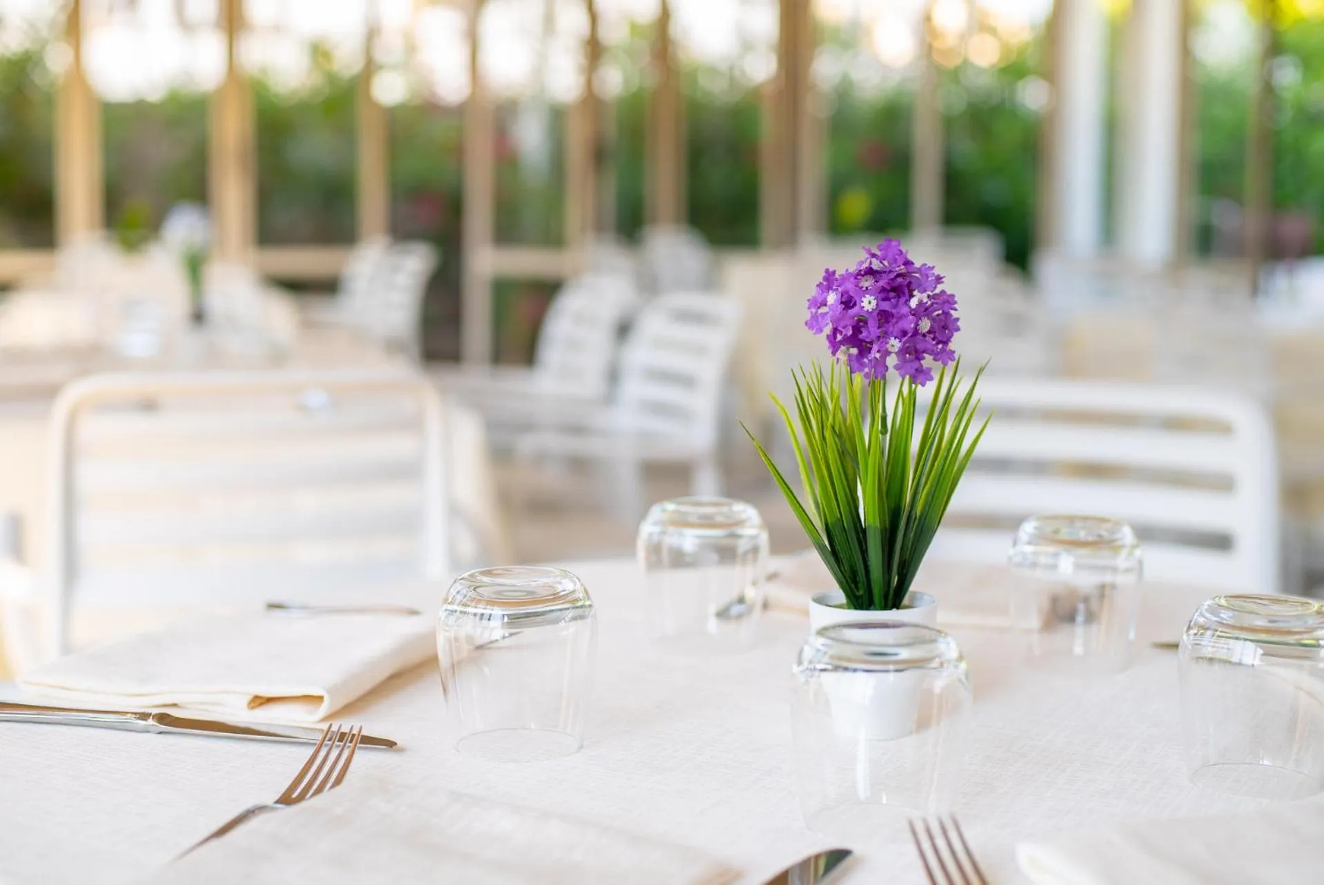 Restaurant/places to eat in Grand Hotel Don Juan