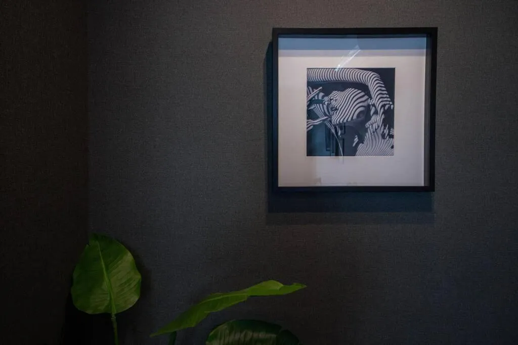 Decorative detail in The PLAZA HOTEL S4W12