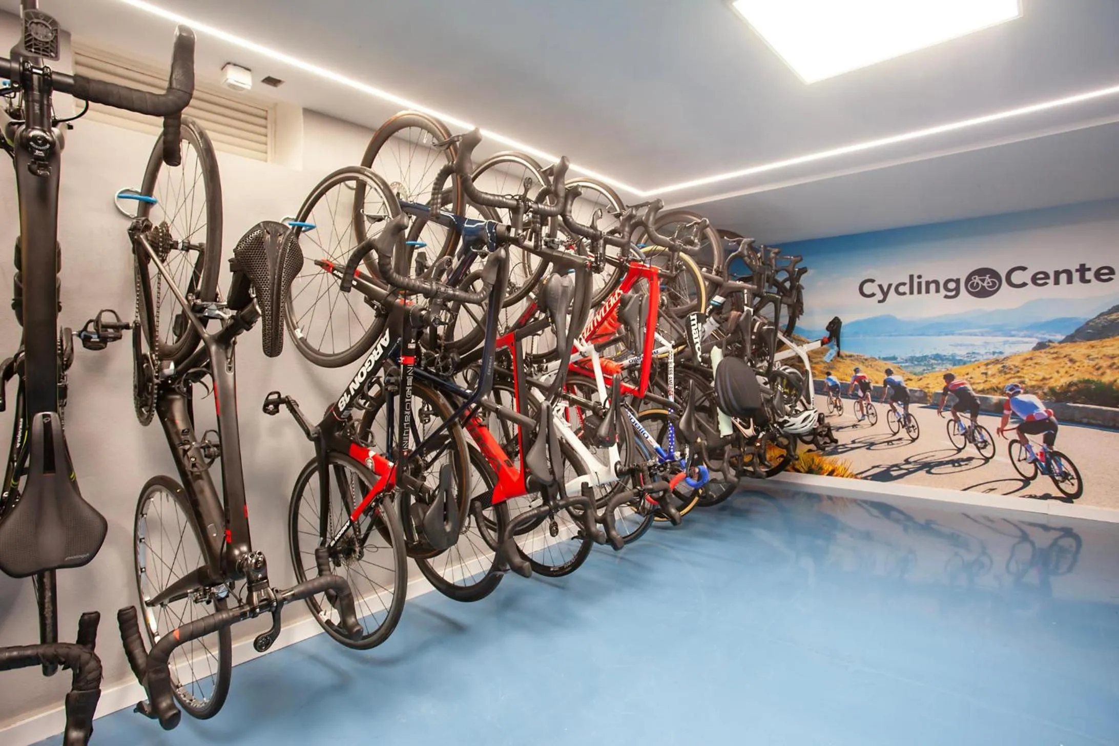 Activities in THB Bamboo Alcudia - Adults Only