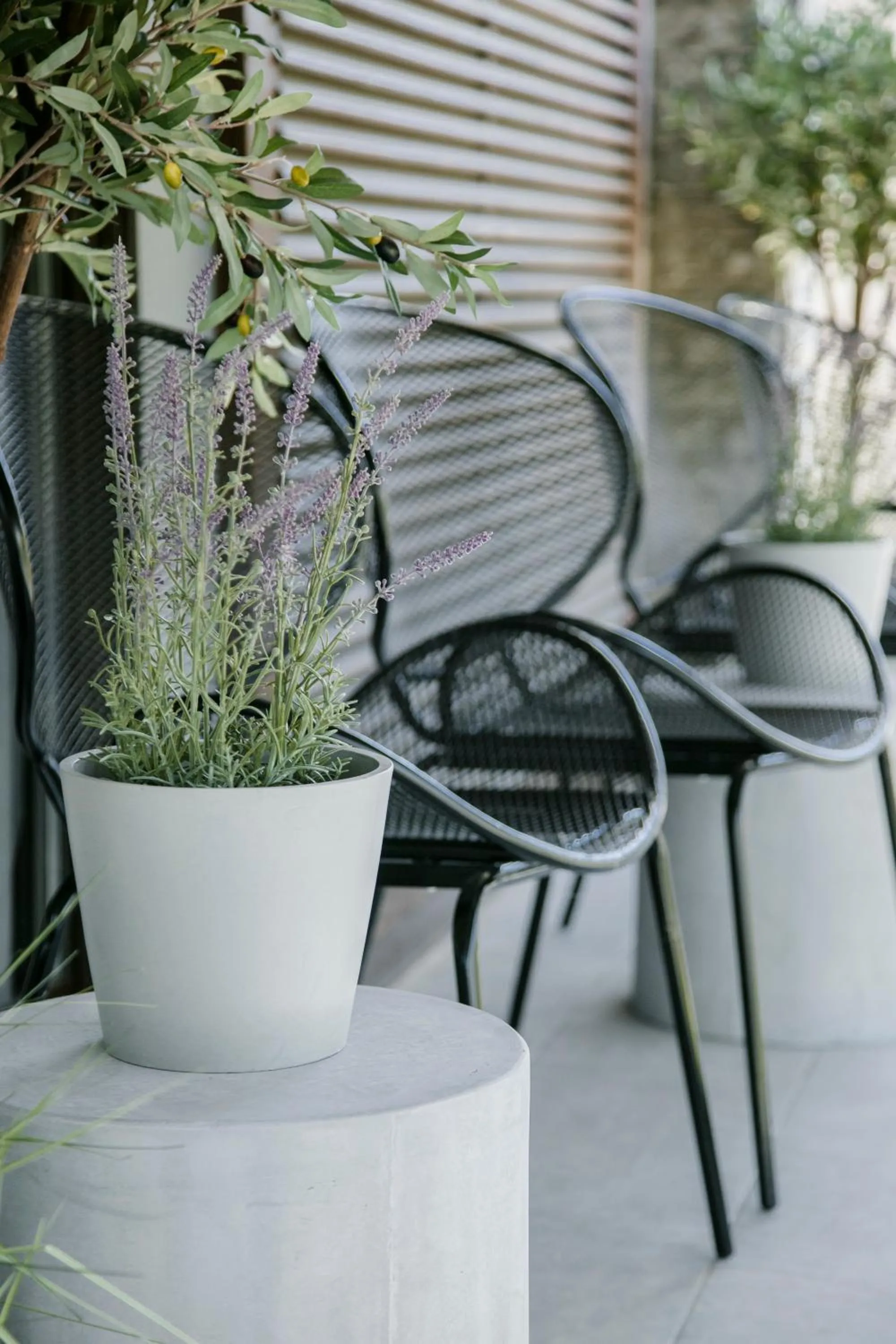 Balcony/Terrace in Ultra Chic Modern 4 Bedrooms Apartment in Athens