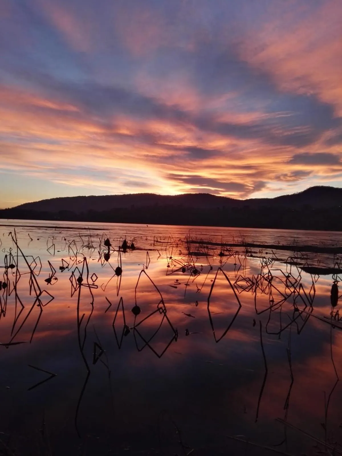 Lake view in Hotel Residence Montelago