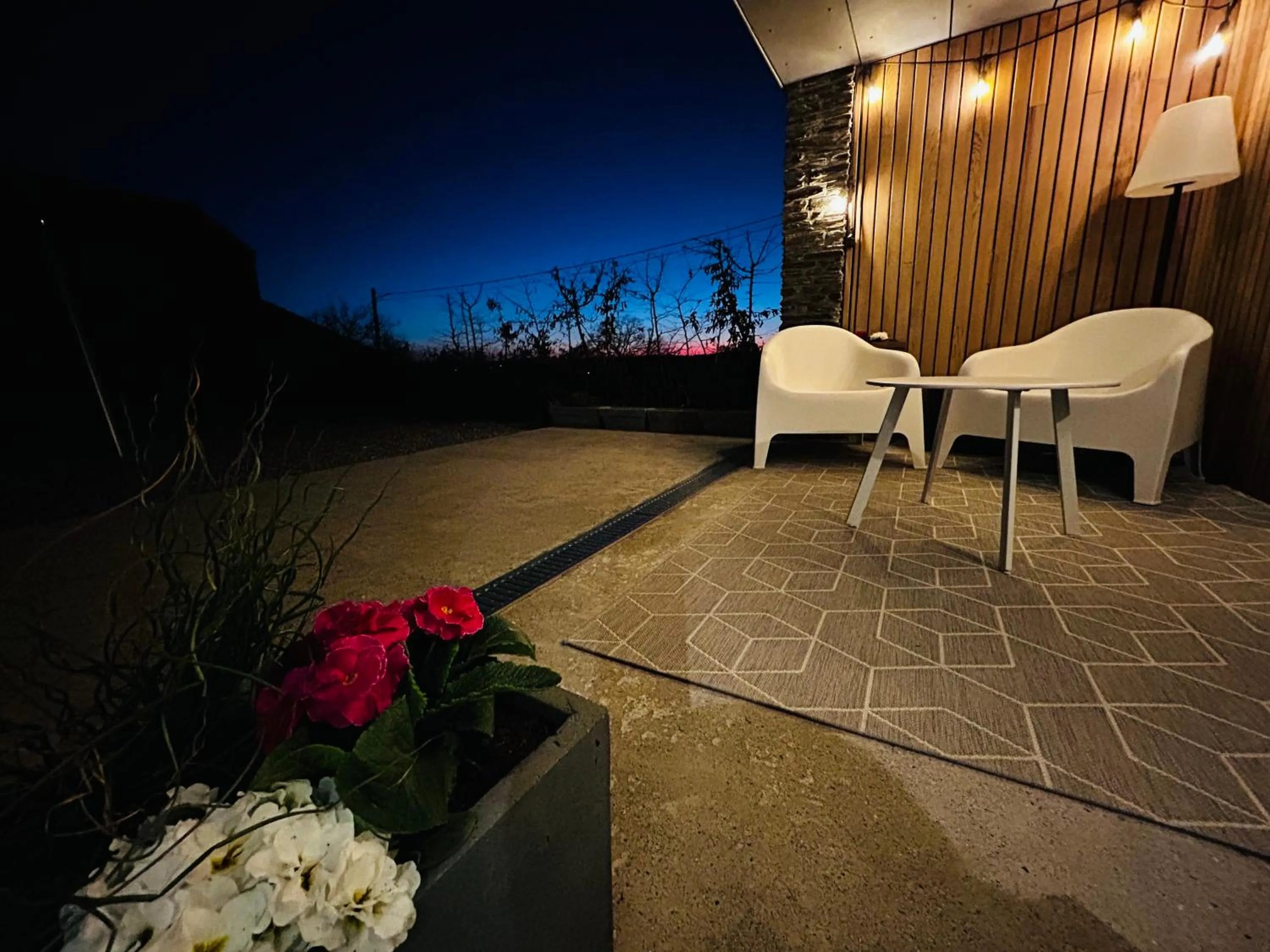 La planque du raton laveur