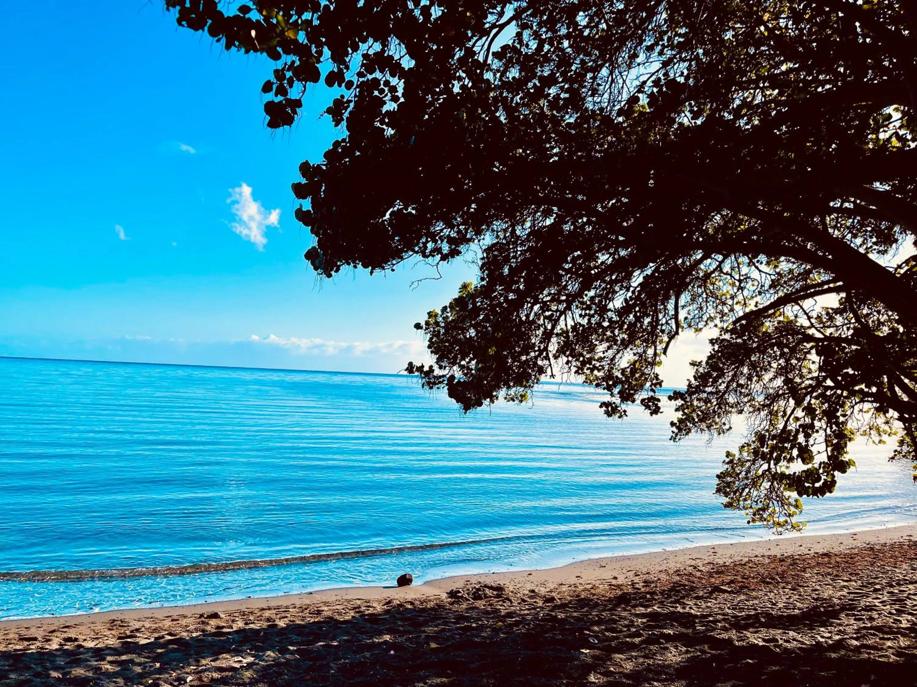 Beach in Tahiti beach house