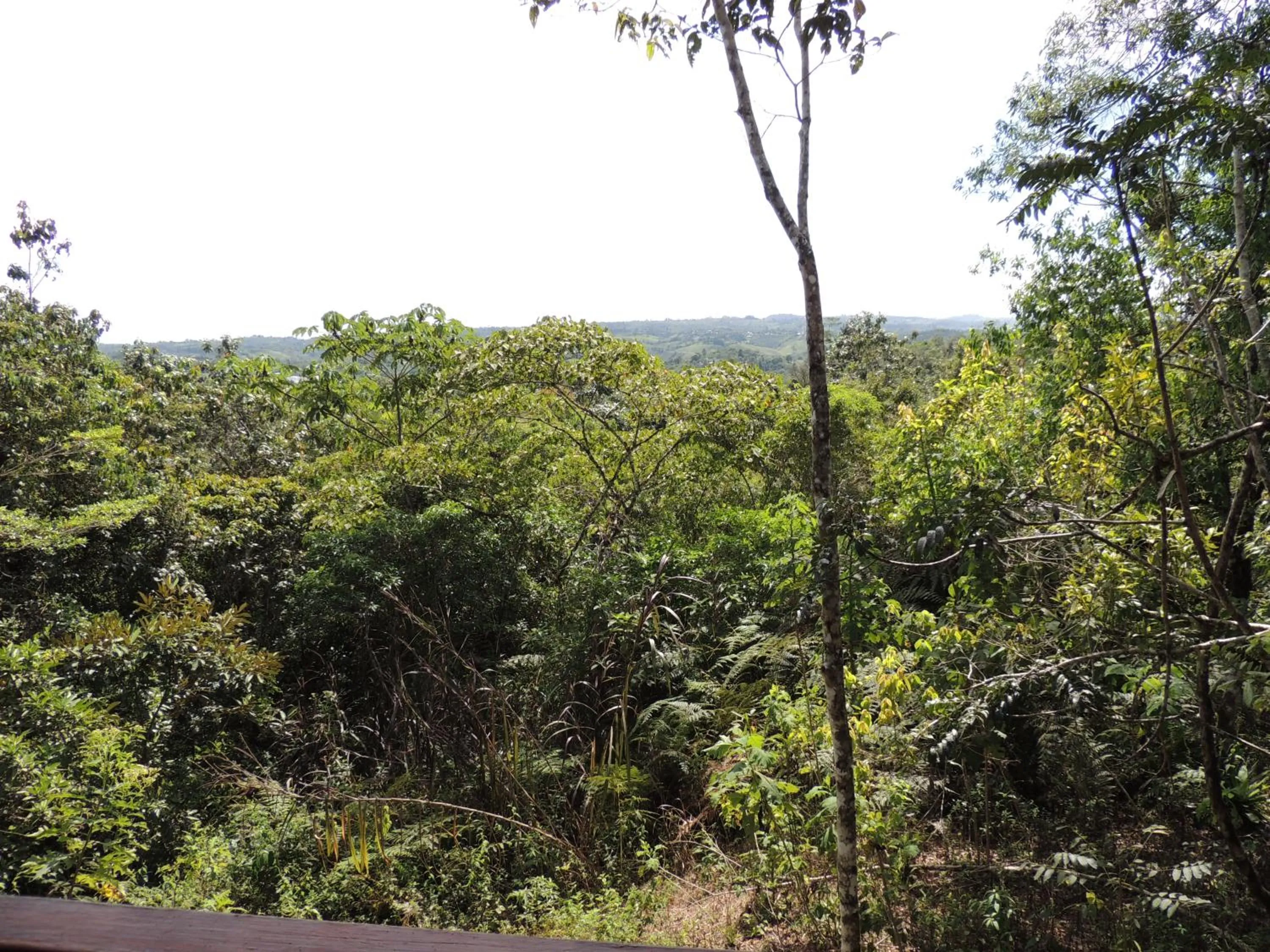 Cascata Del Bosco Cabinas