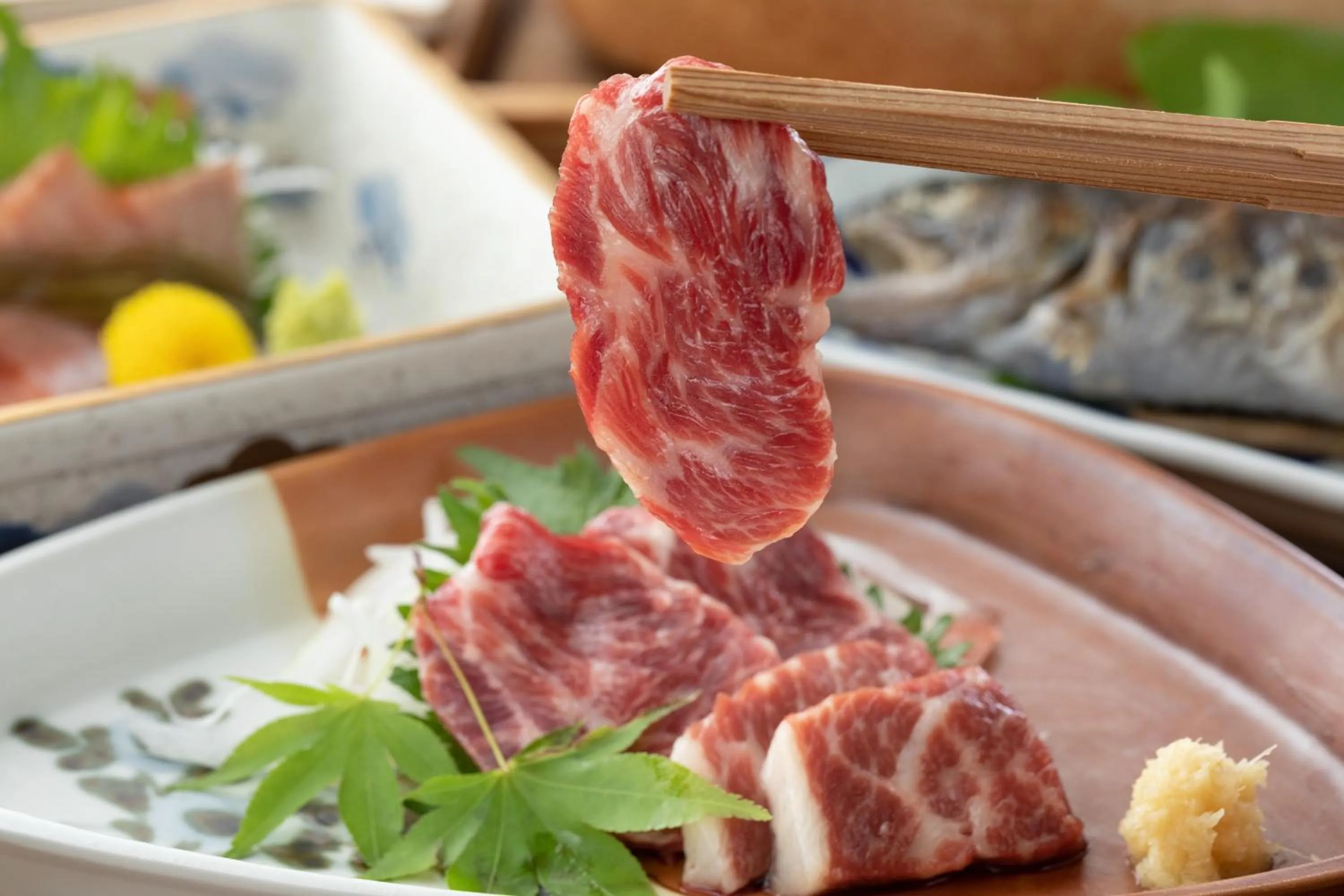 Food in Ryokan Nanjoen