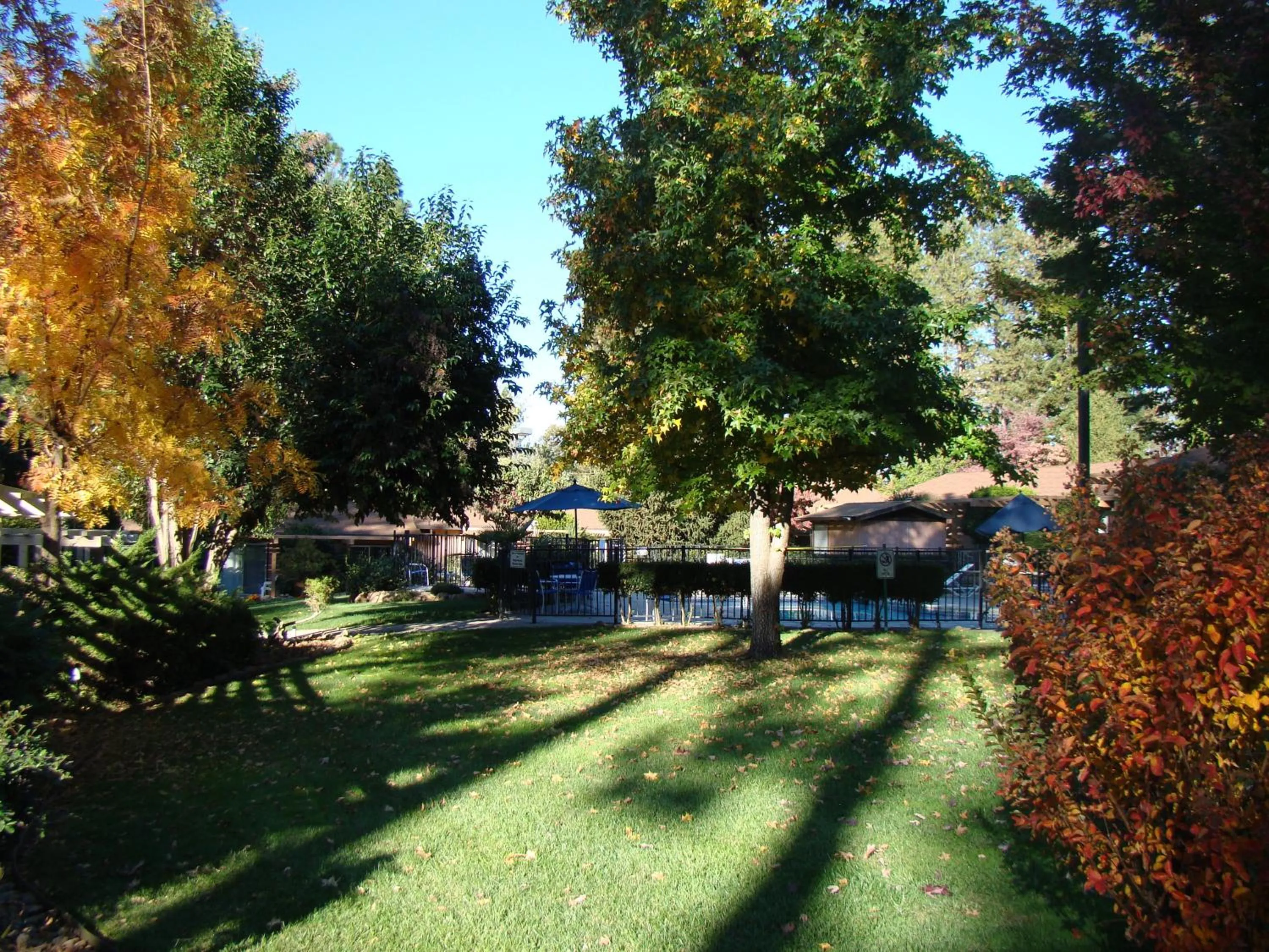 Garden in Ponderosa Gardens Motel