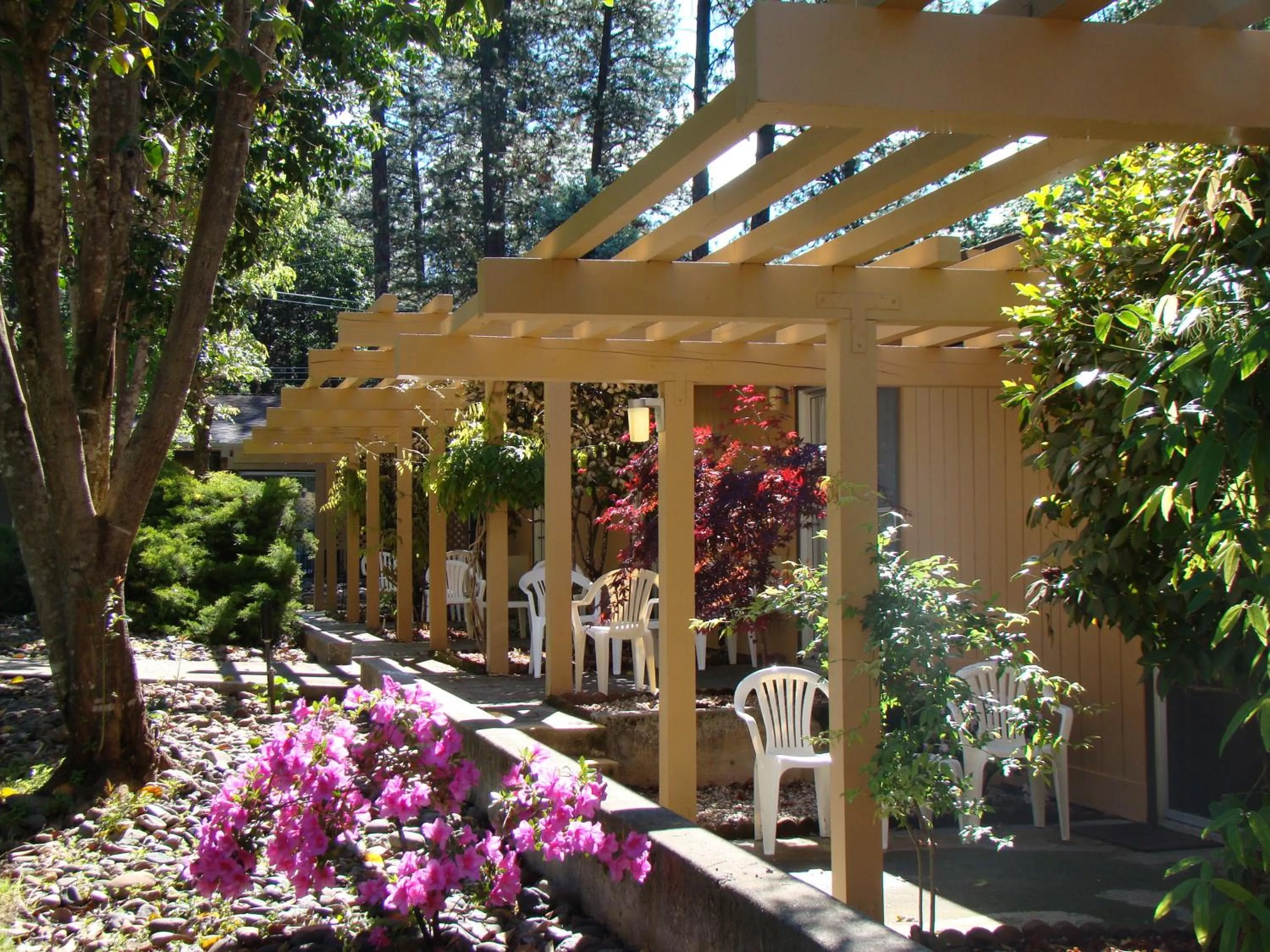 Facade/entrance in Ponderosa Gardens Motel