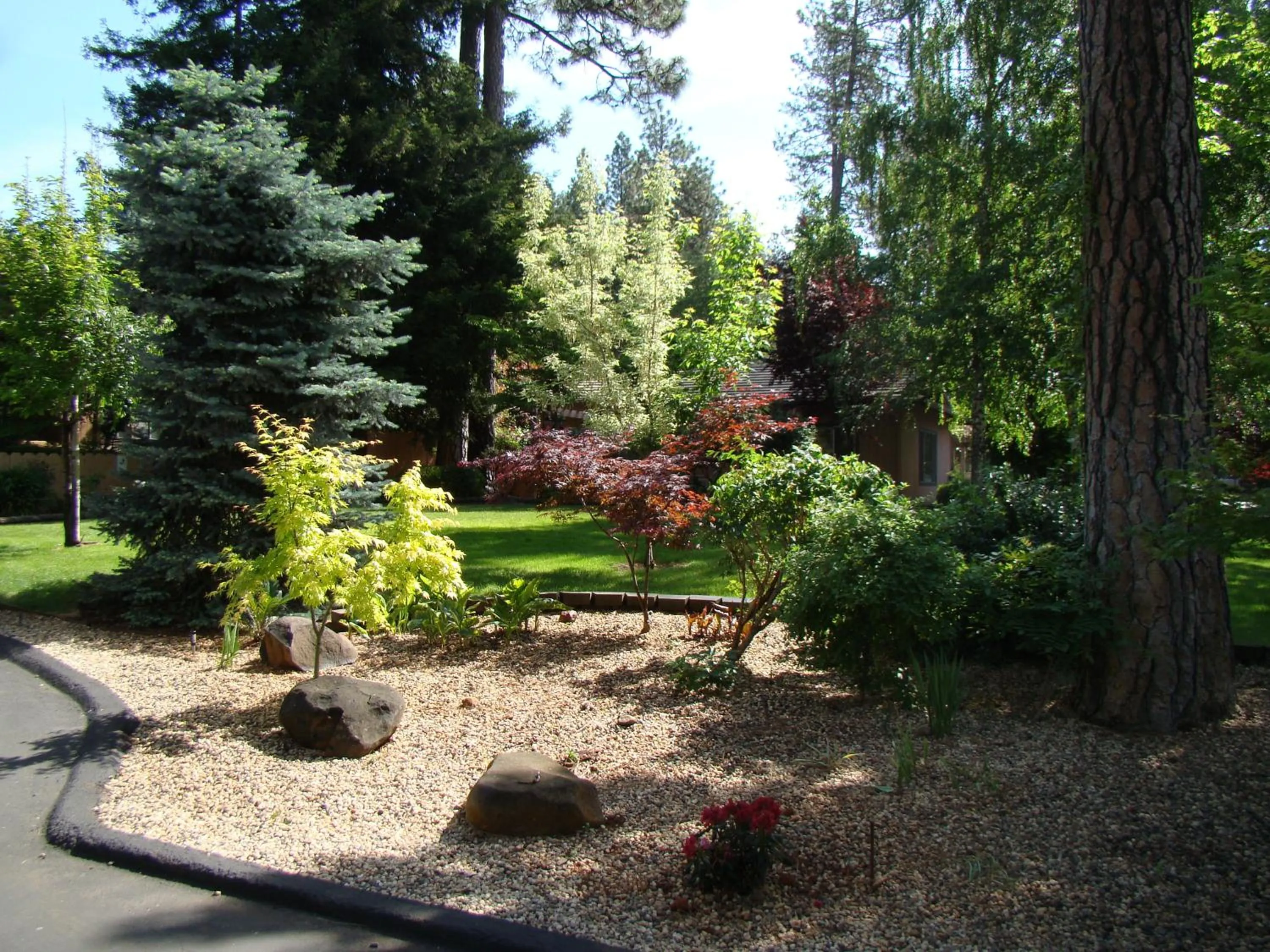 Garden in Ponderosa Gardens Motel