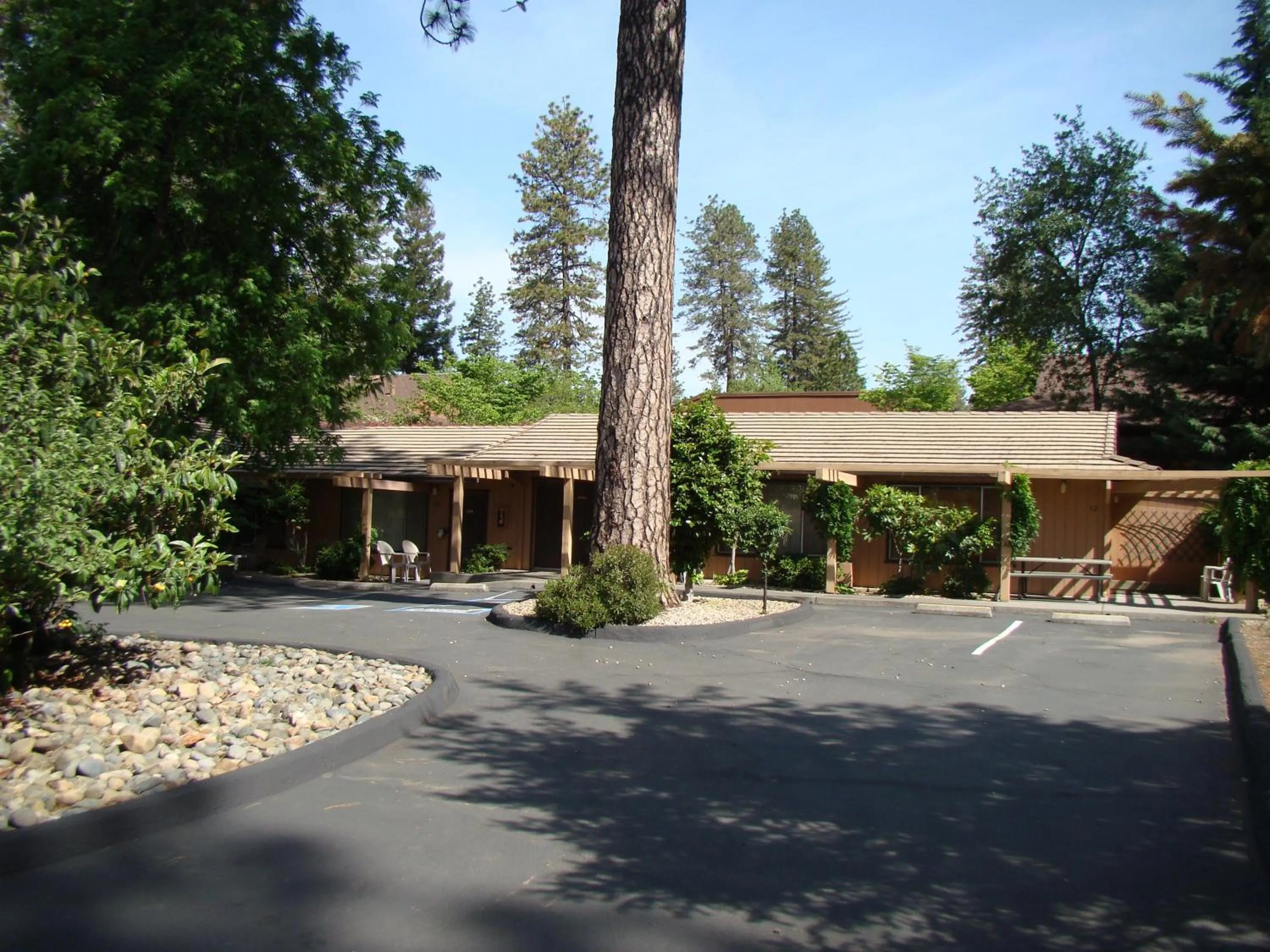 Balcony/Terrace in Ponderosa Gardens Motel