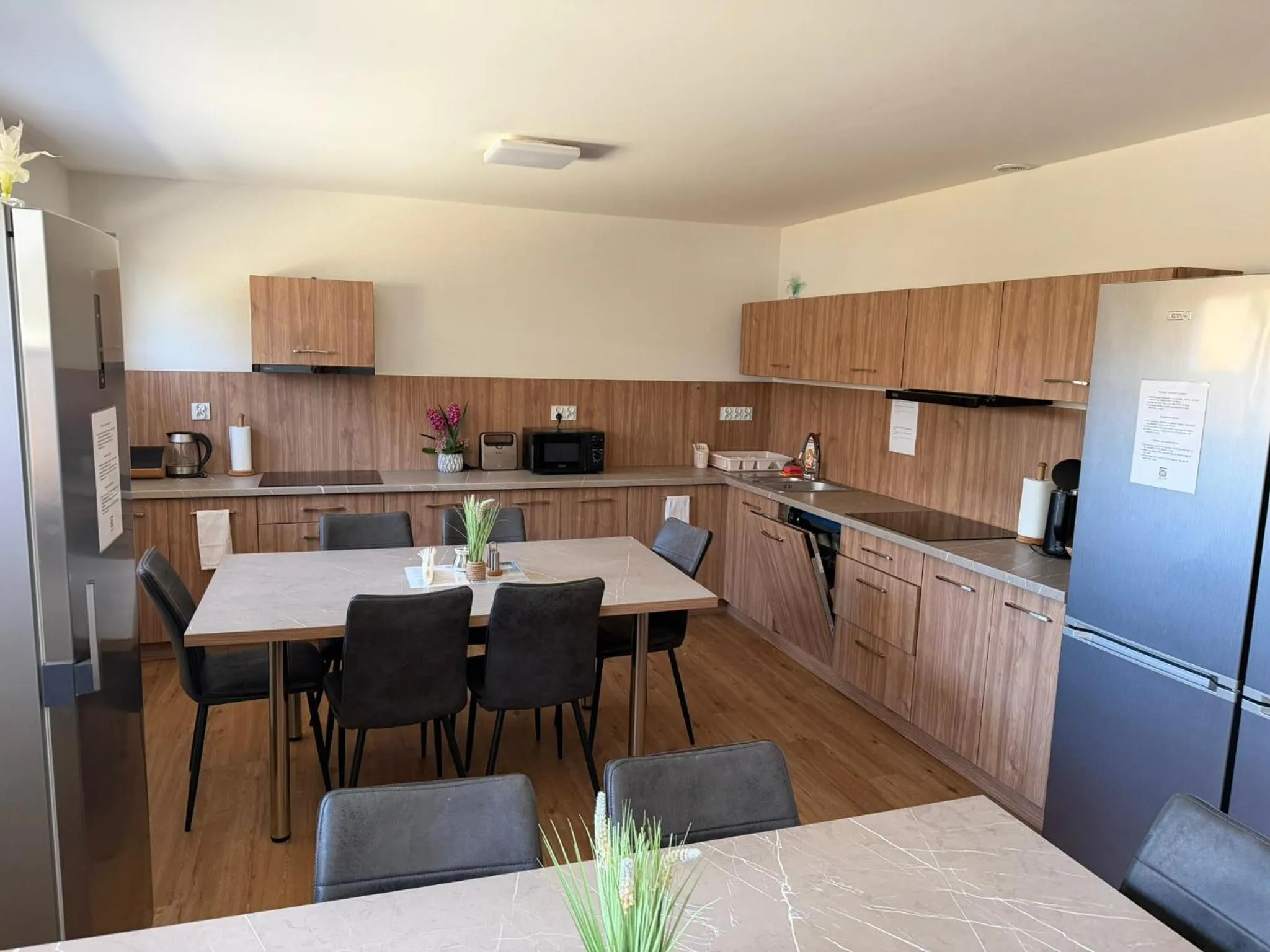 Kitchen or kitchenette in Apartmotel ANROE