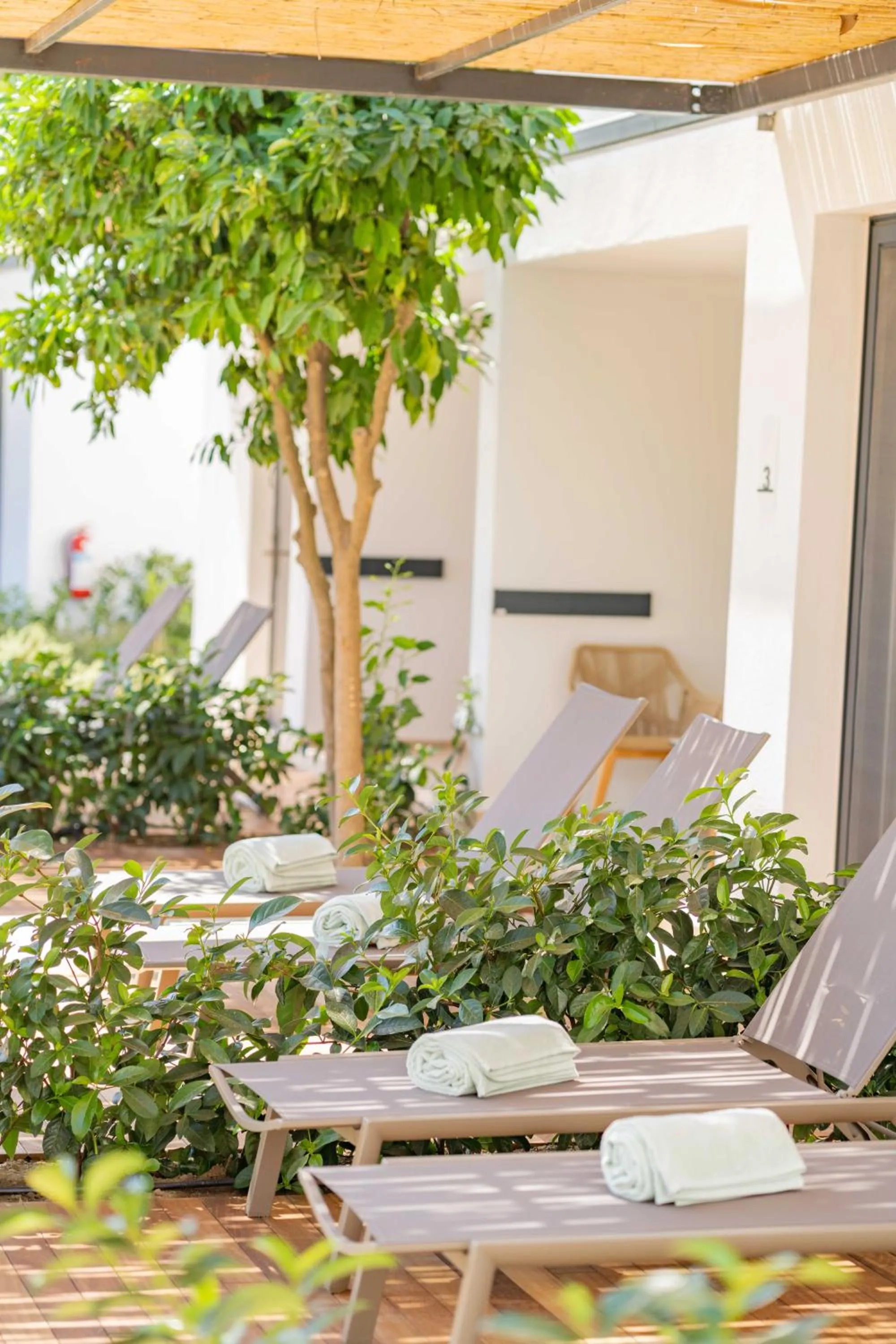 Swimming pool in Pınar Otel