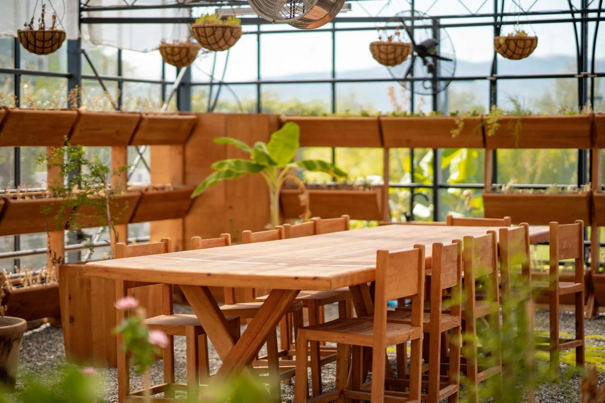 Area and facilities in Pınar Otel