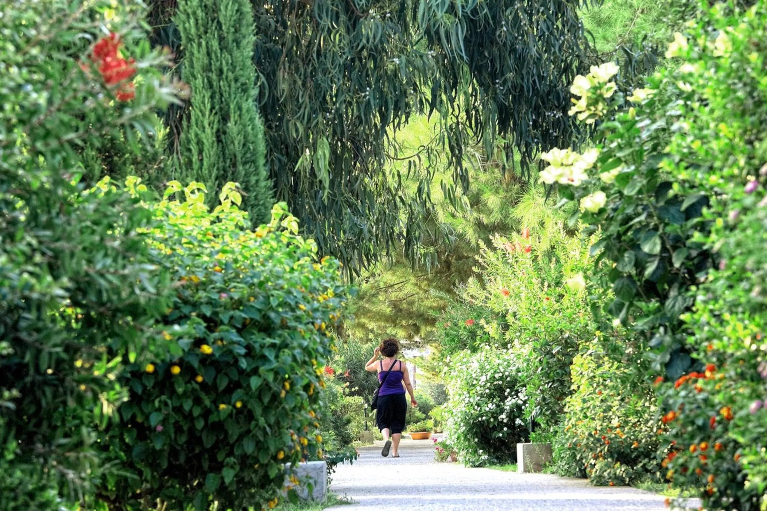 Other in Borgo Del Principe