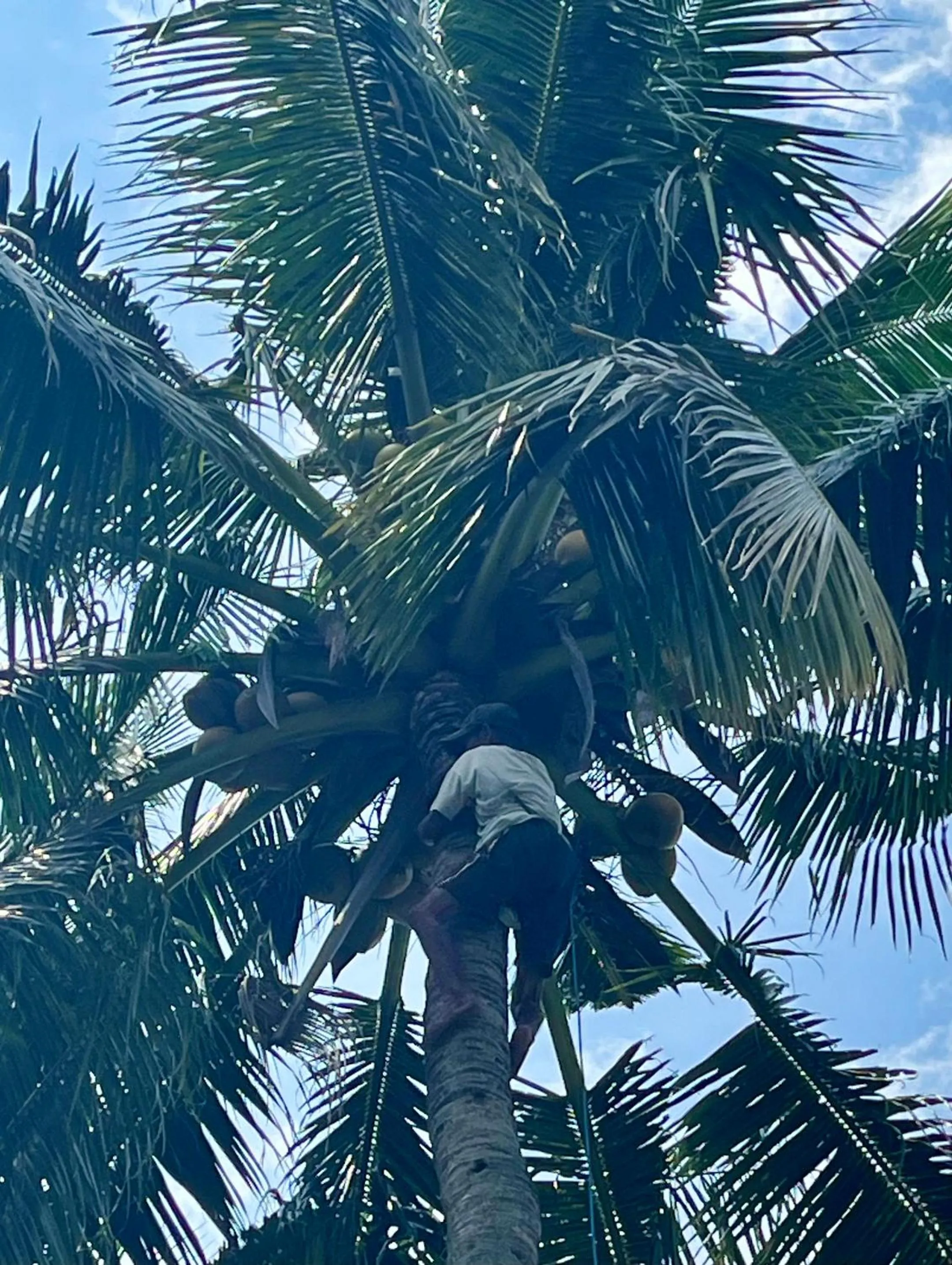Staff in Namaste Bungalows Resort