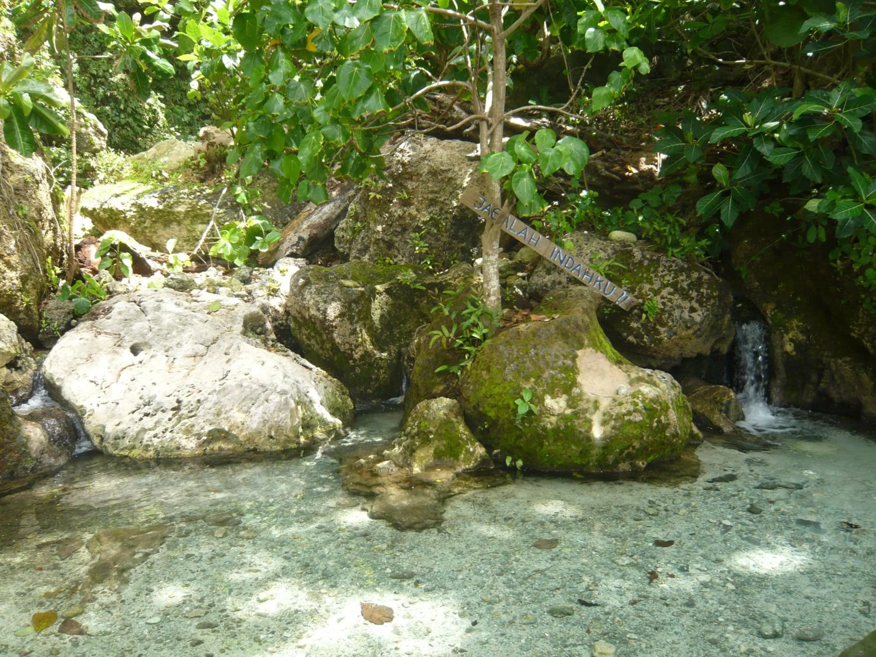 Natural landscape in Namaste Bungalows