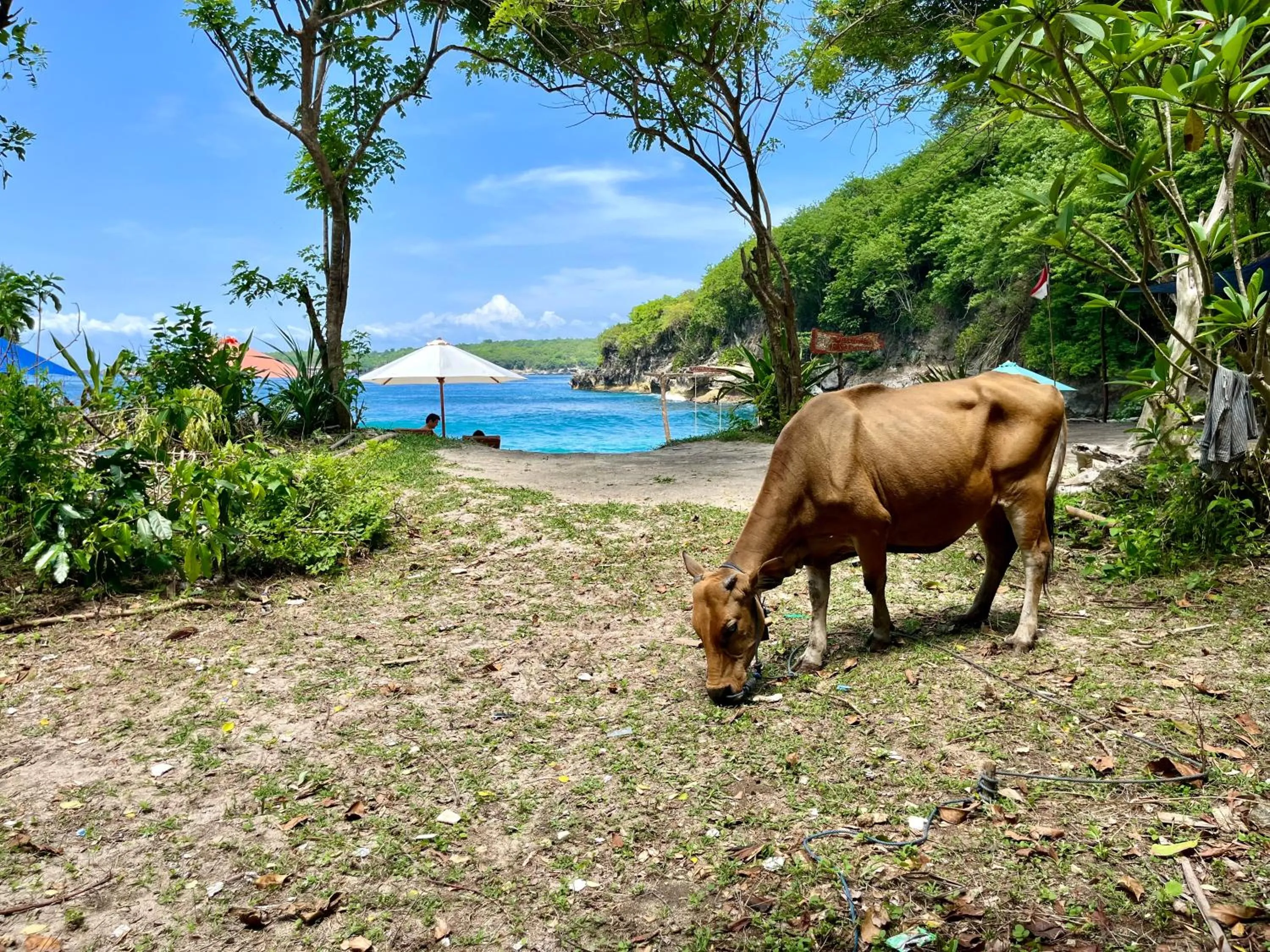 Beach in Namaste Bungalows Resort