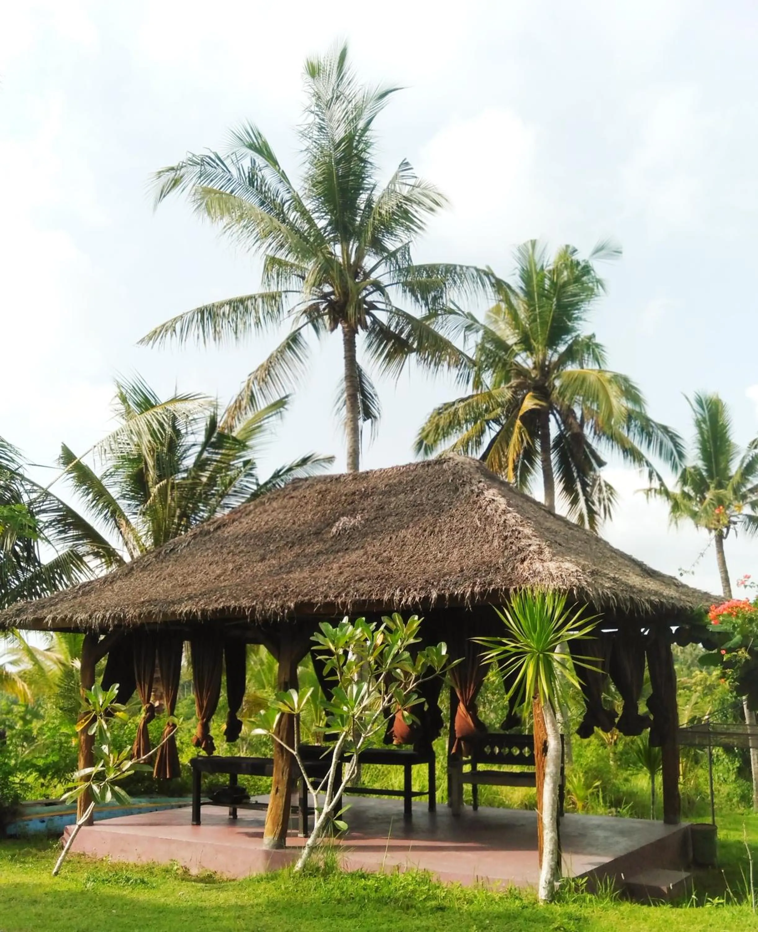Garden in Namaste Bungalows