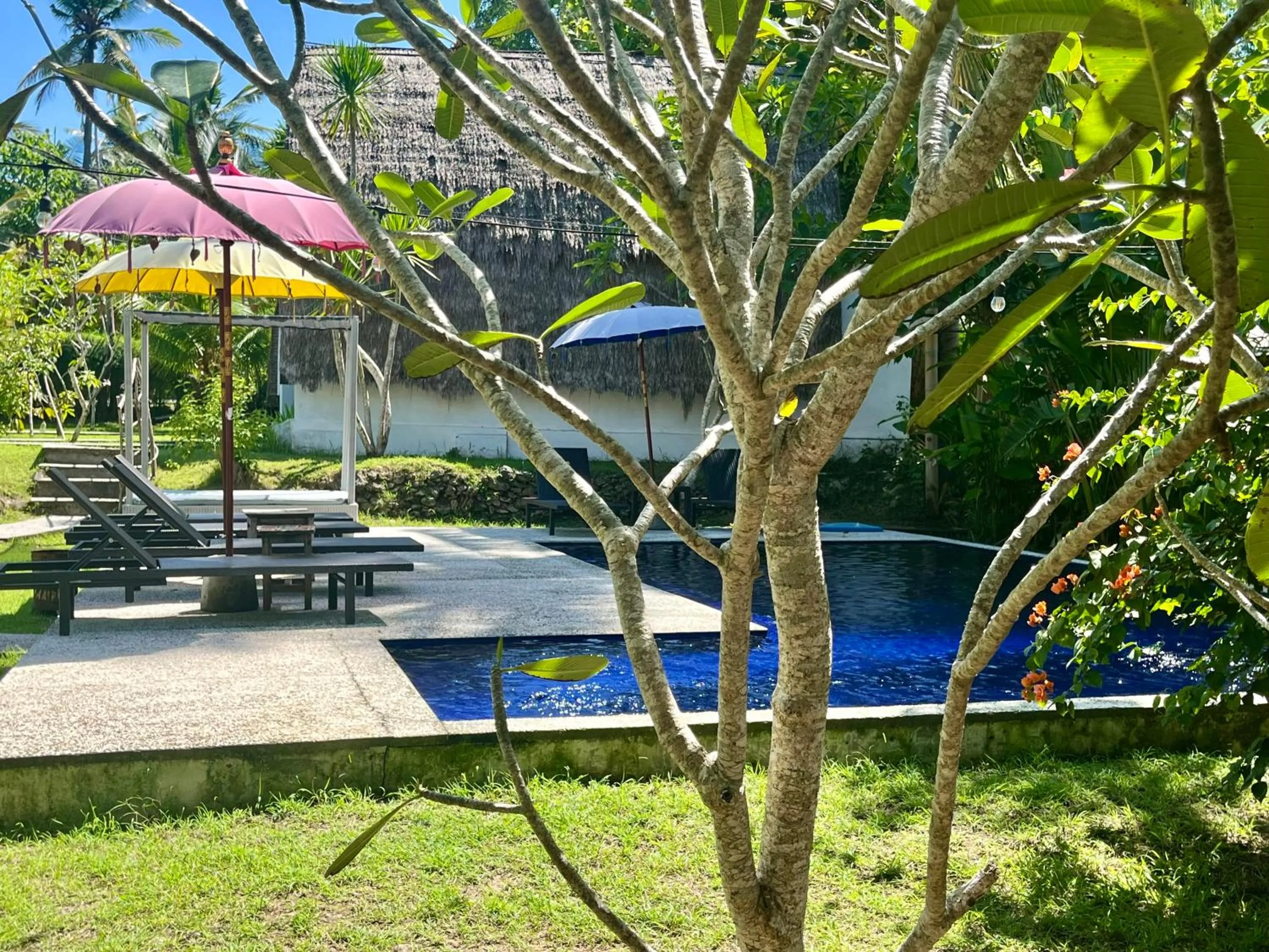 Swimming pool in Namaste Bungalows Resort
