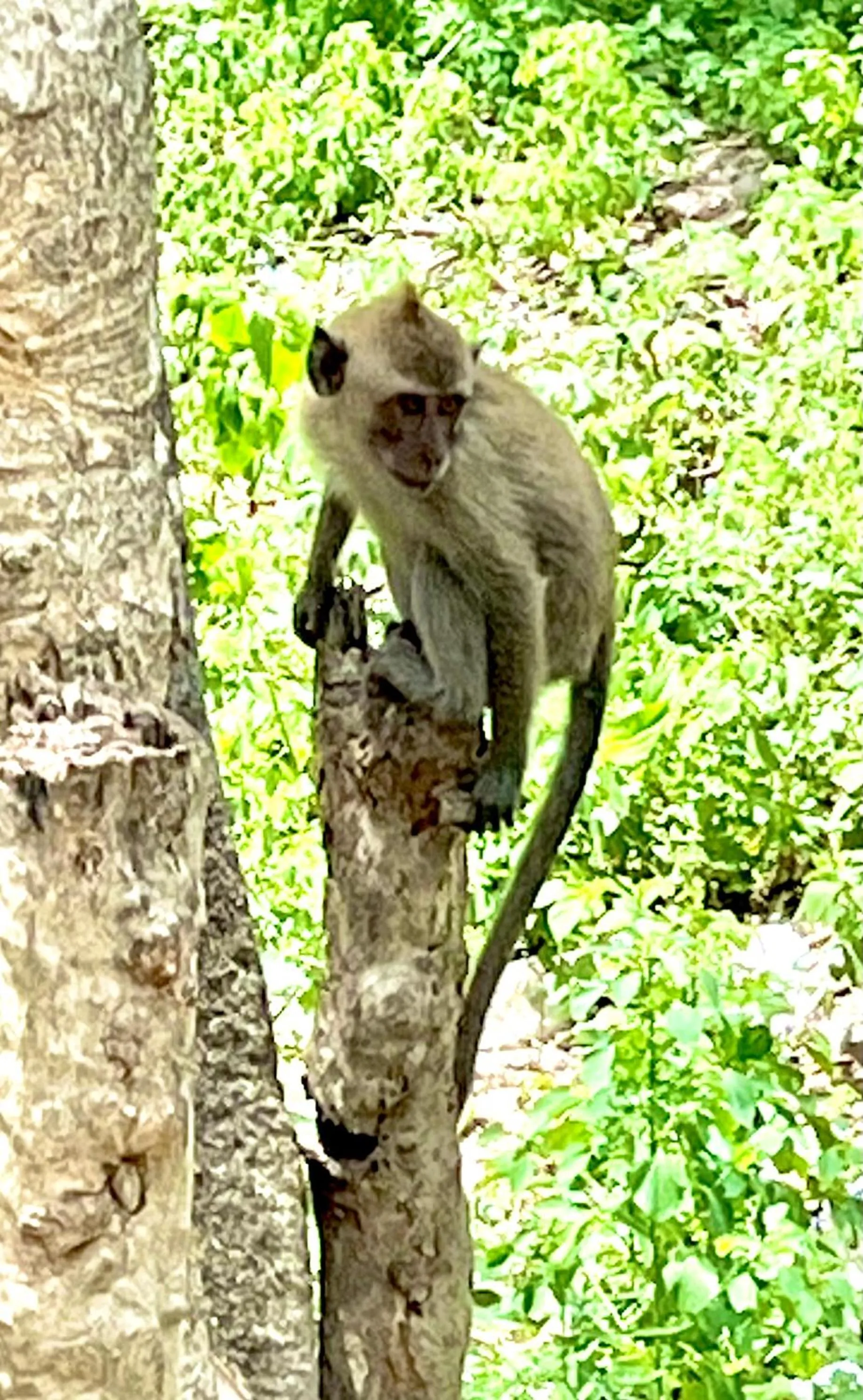 Natural landscape in Namaste Bungalows Resort