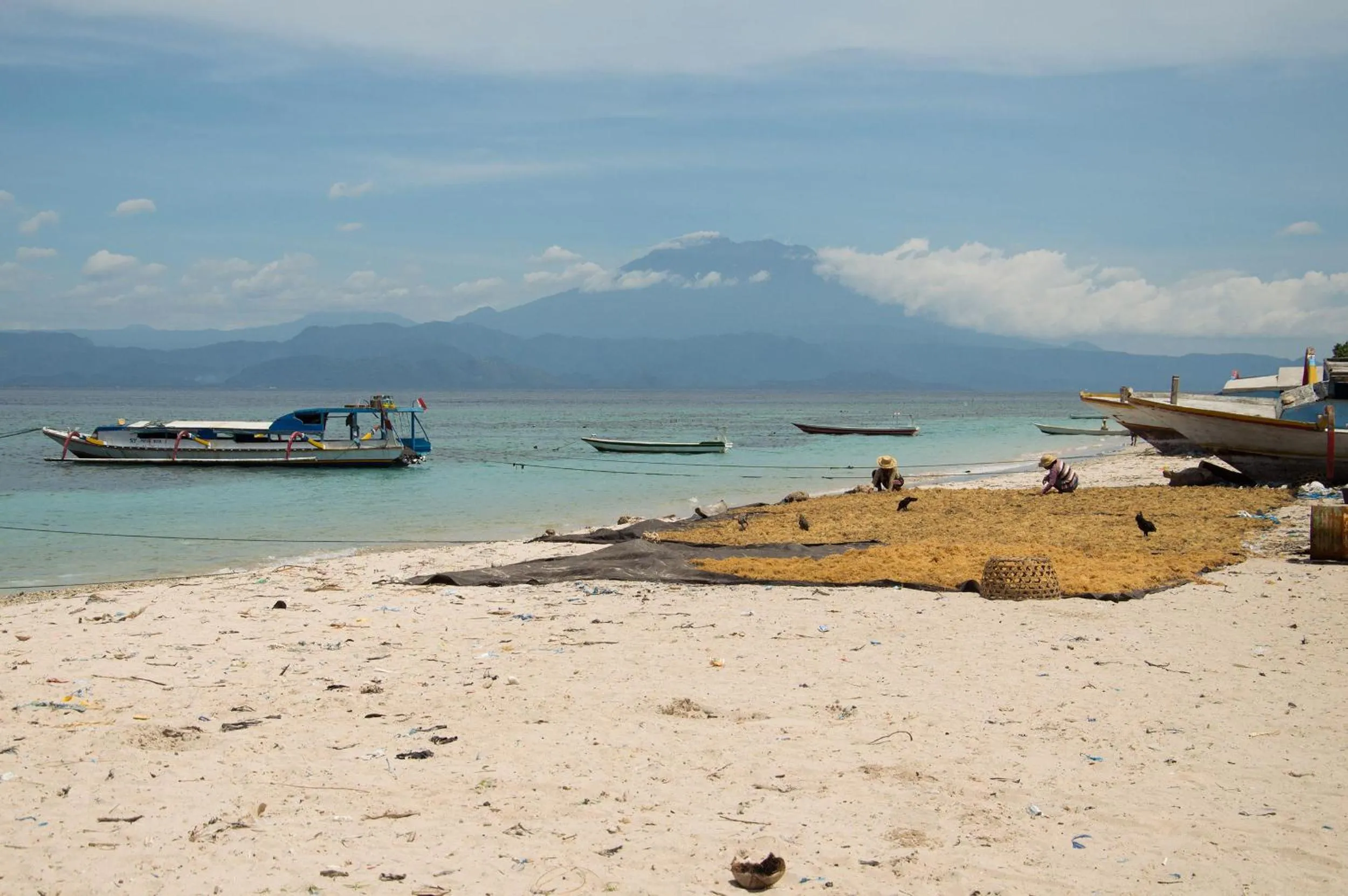 View (from property/room) in Namaste Bungalows