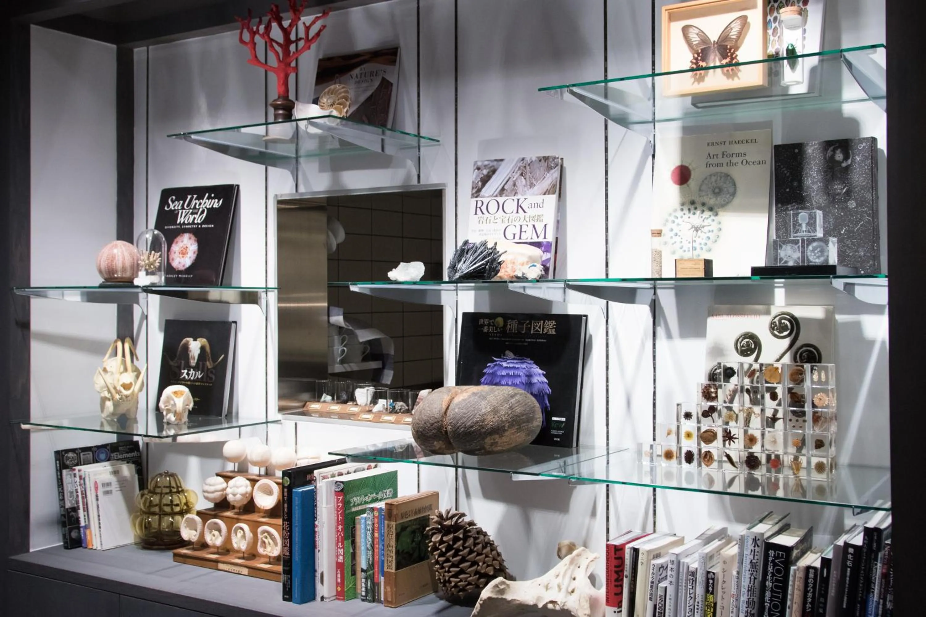 Restaurant/places to eat in Usaginonedoko