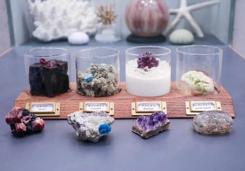 Restaurant/places to eat in Usaginonedoko