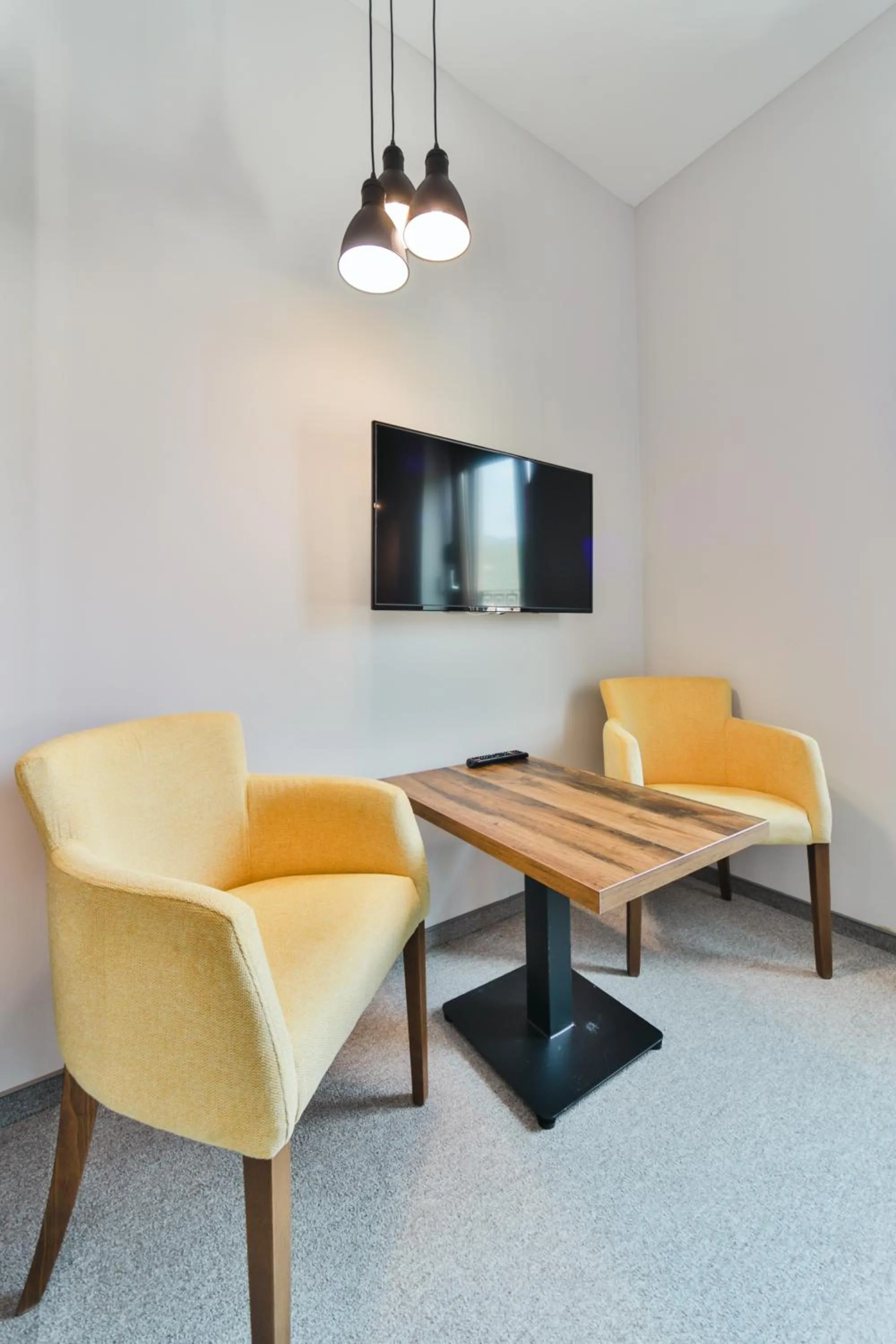 Seating area in Hotel Vladimir