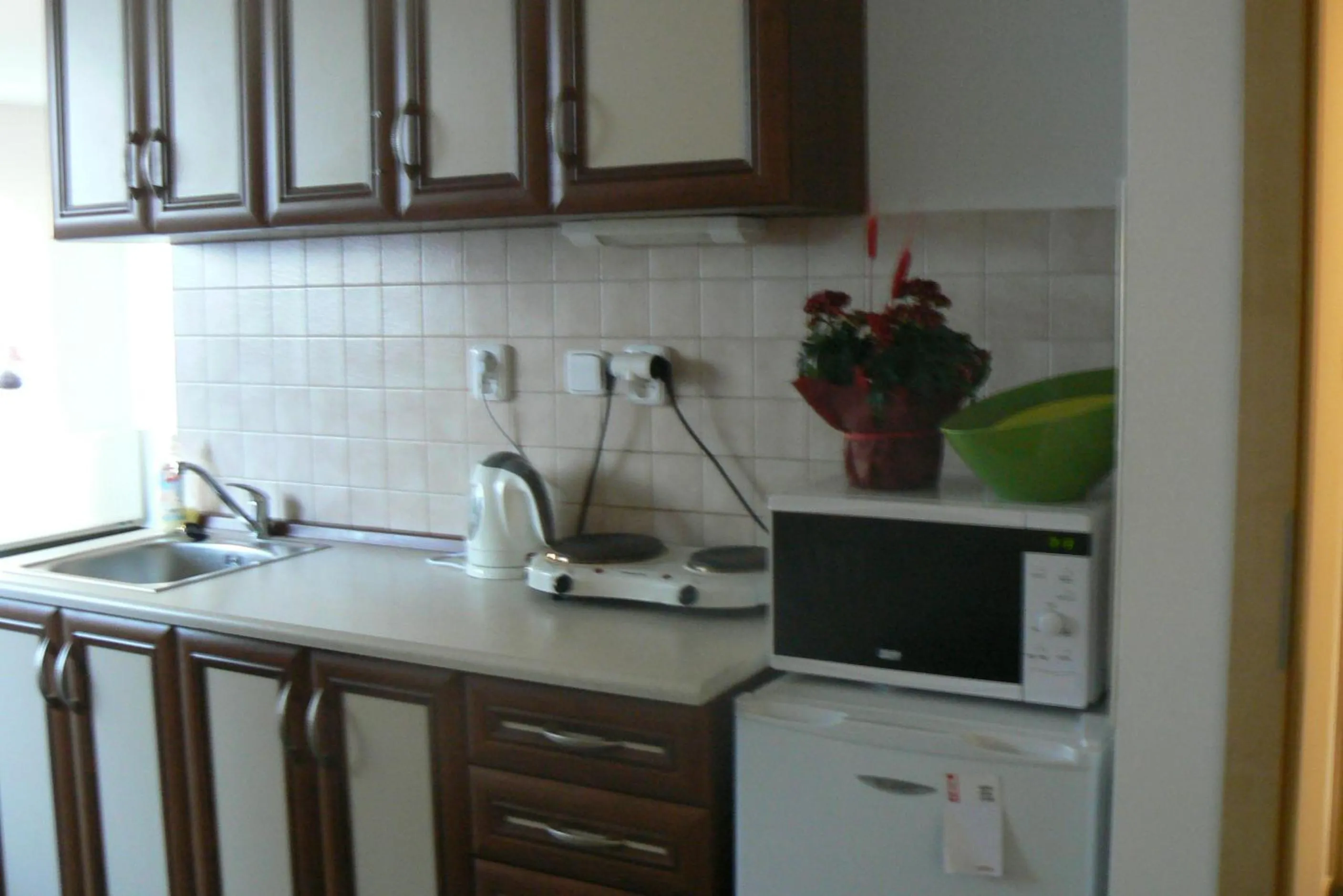 Kitchen or kitchenette in Penzion Na Vápence