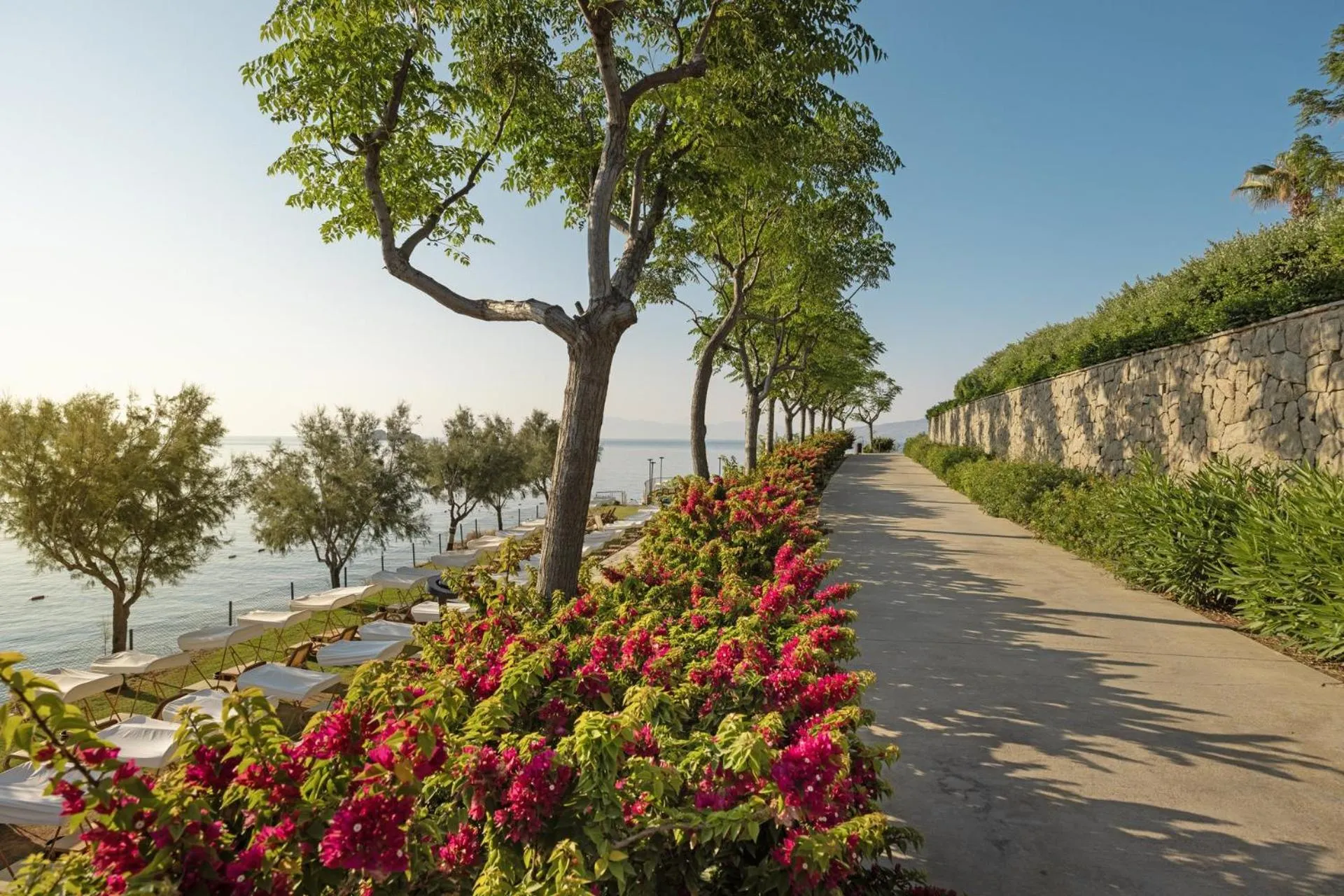 Garden view in Xanadu Island