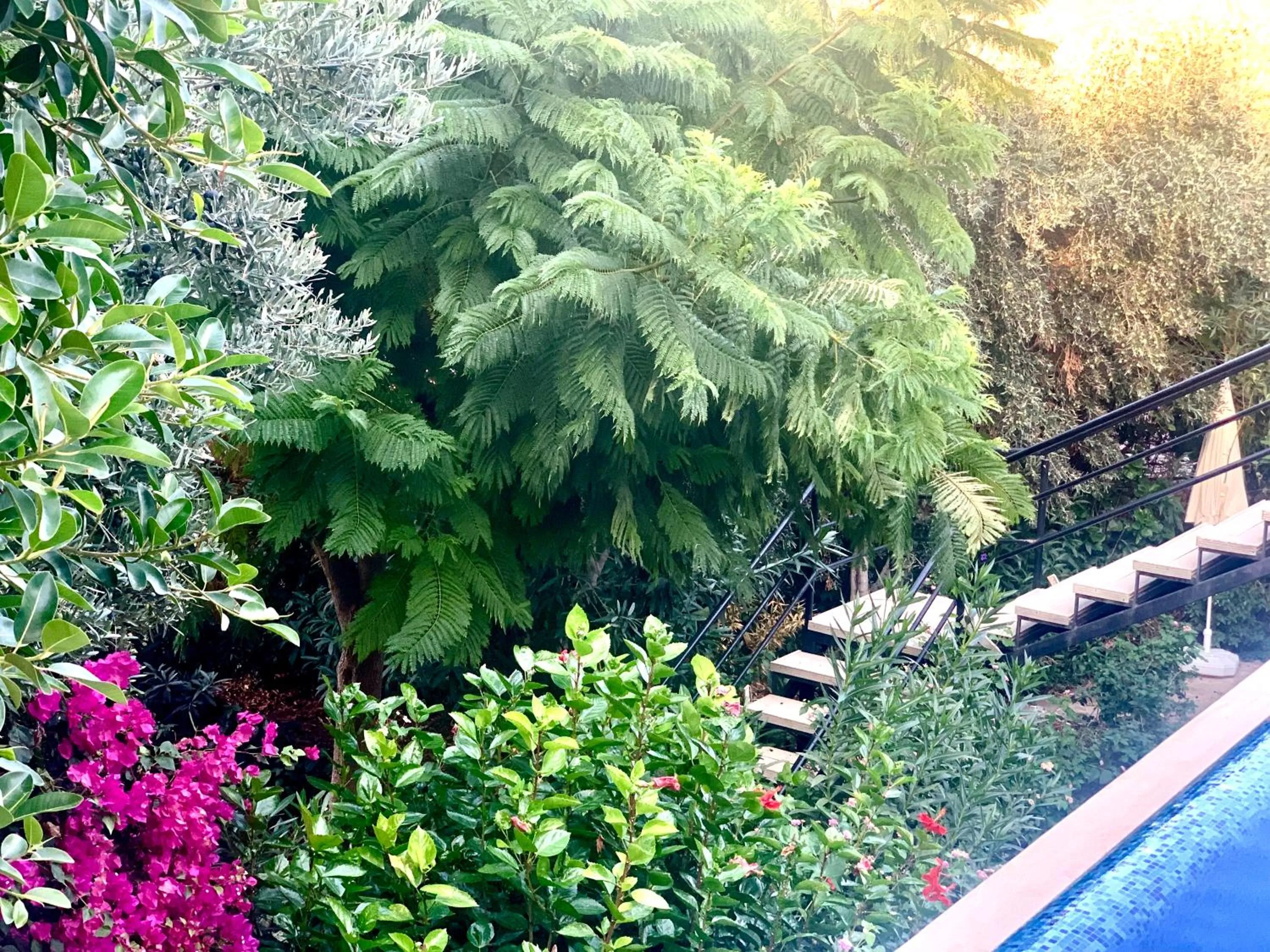 Garden in Club Hotel Barbarossa