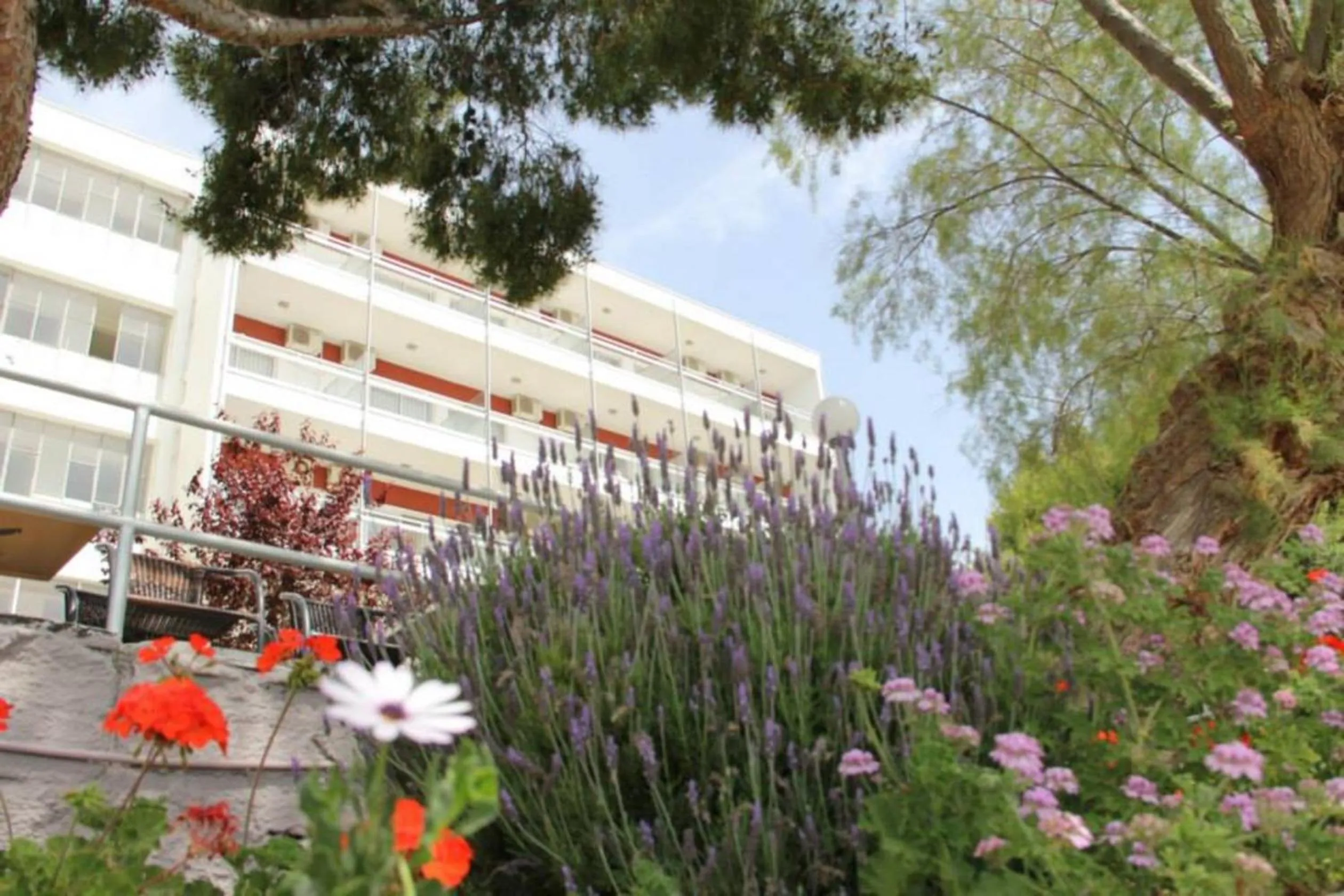 Garden in Siagas Beach Hotel