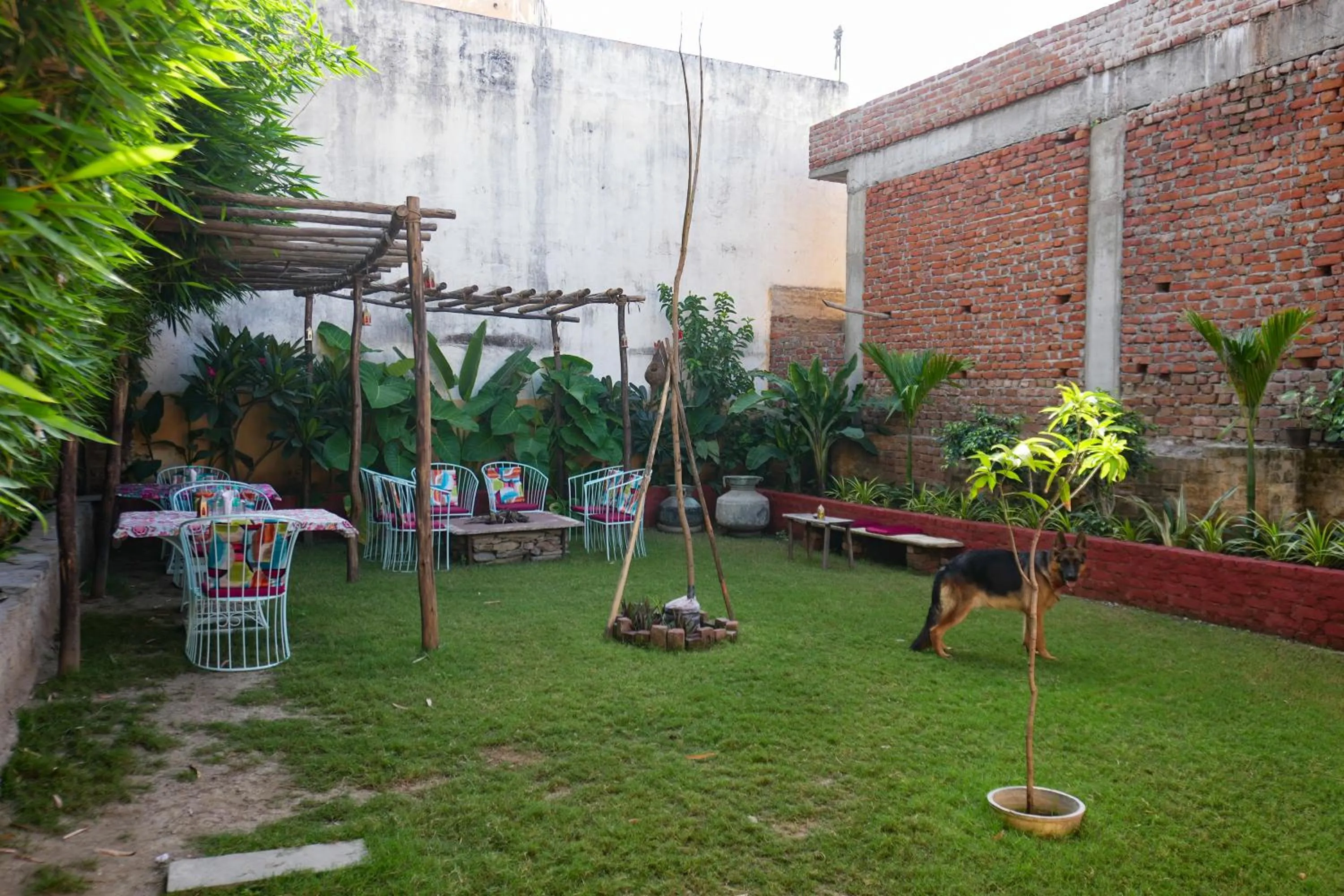 Restaurant/places to eat in PETAL OF MEWAR - A Luxury Boutique Hotel