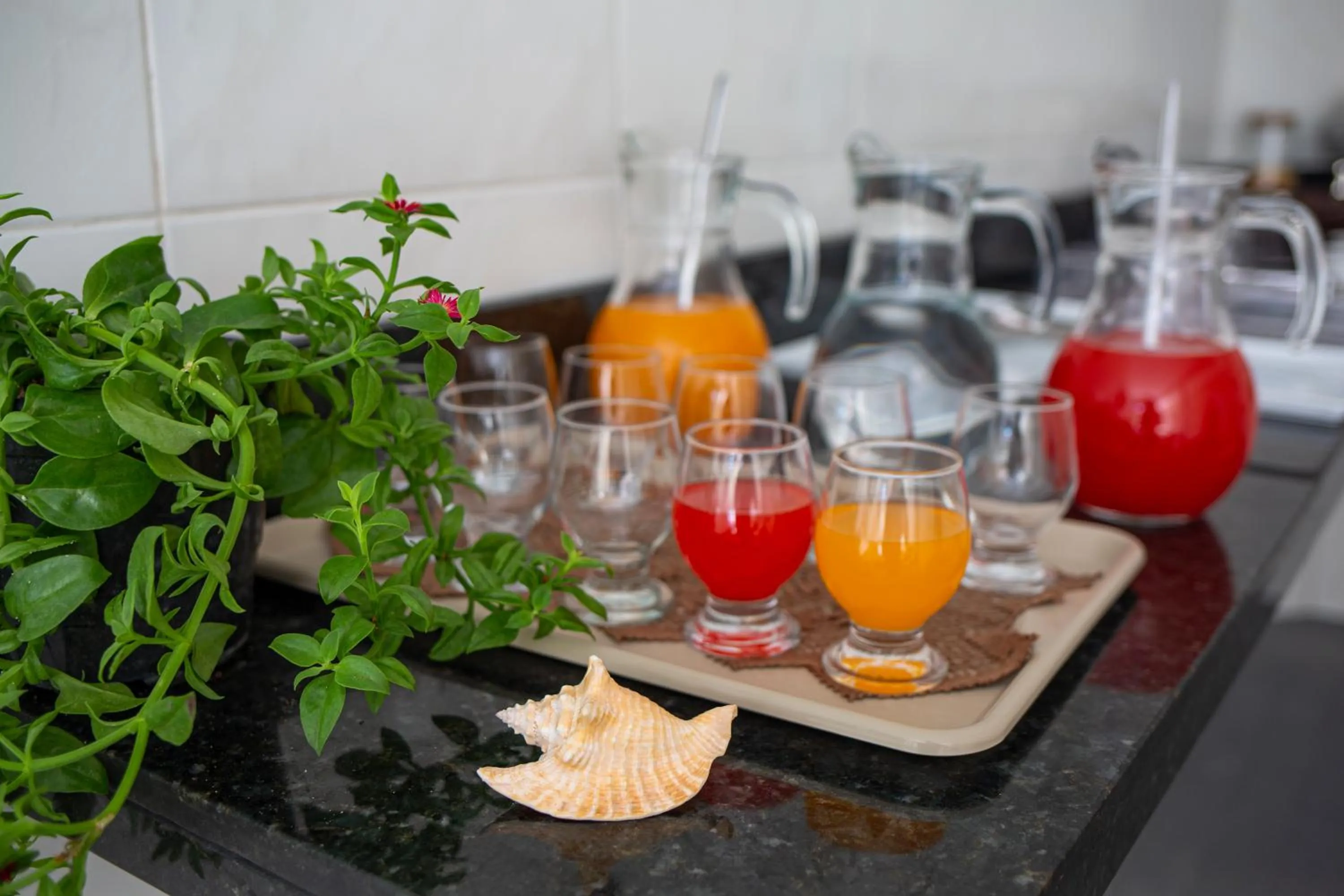 Breakfast in Pousada dos Corais