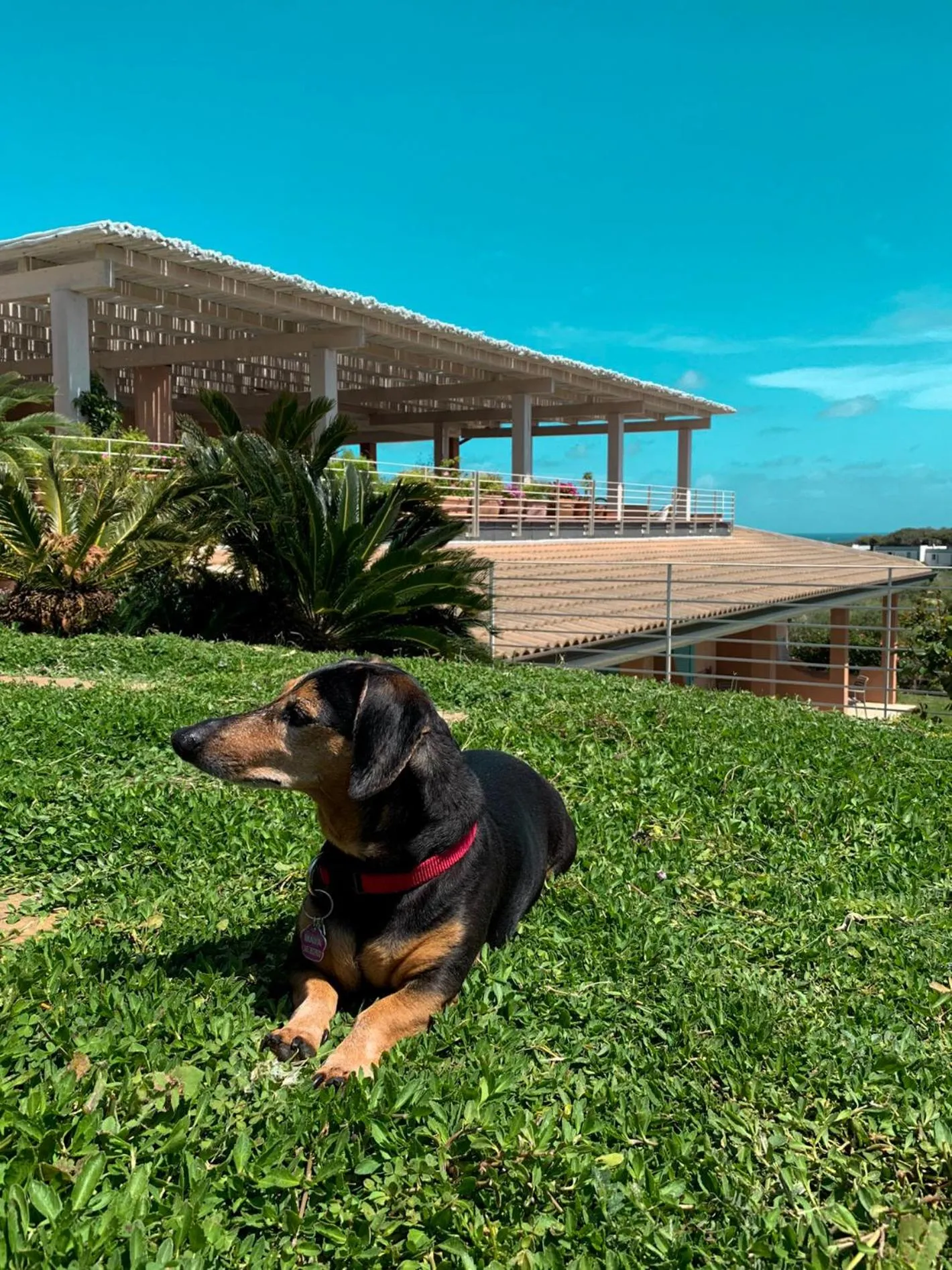 Garden in Park Hotel Asinara