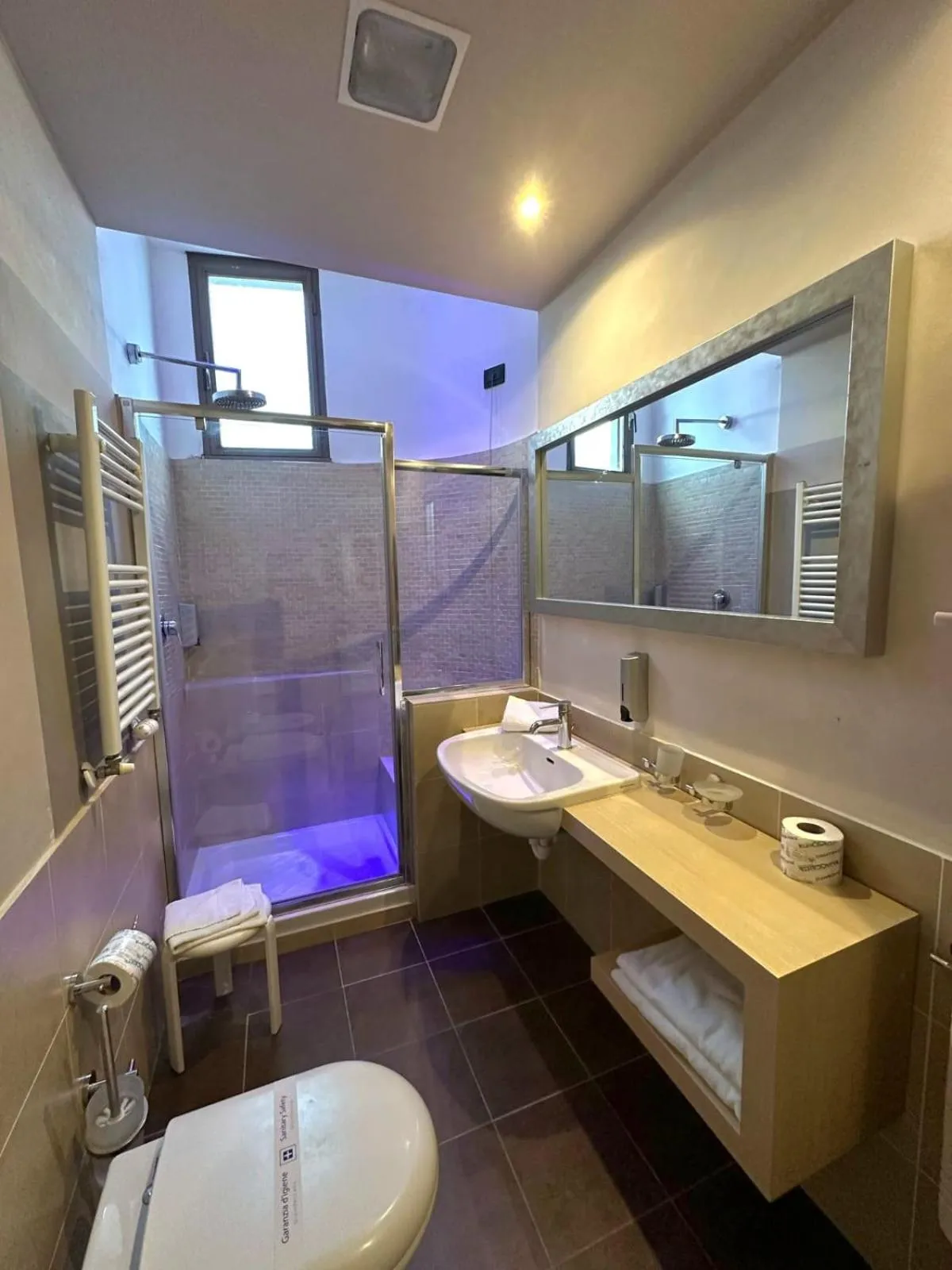 Shower in Domus Park Hotel & SPA