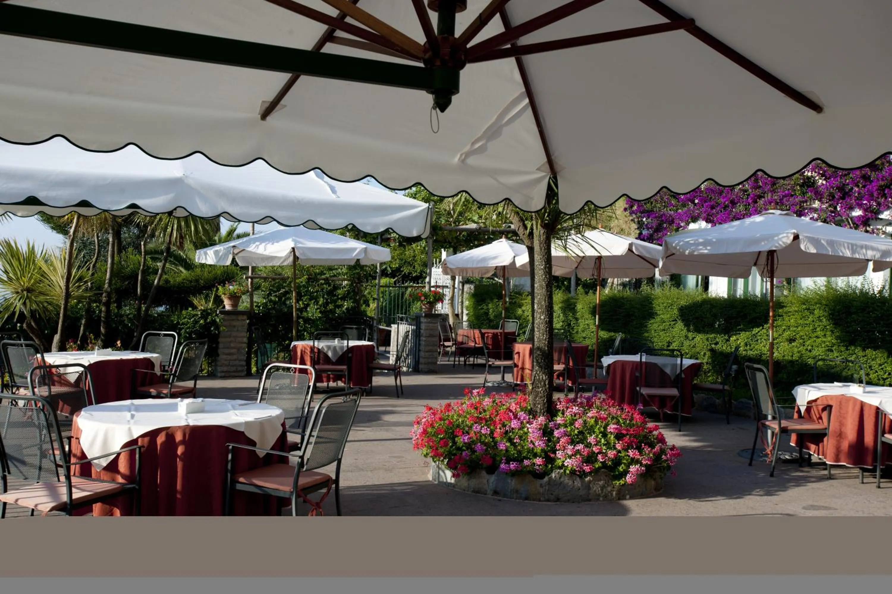 Garden in Hotel Rufolo