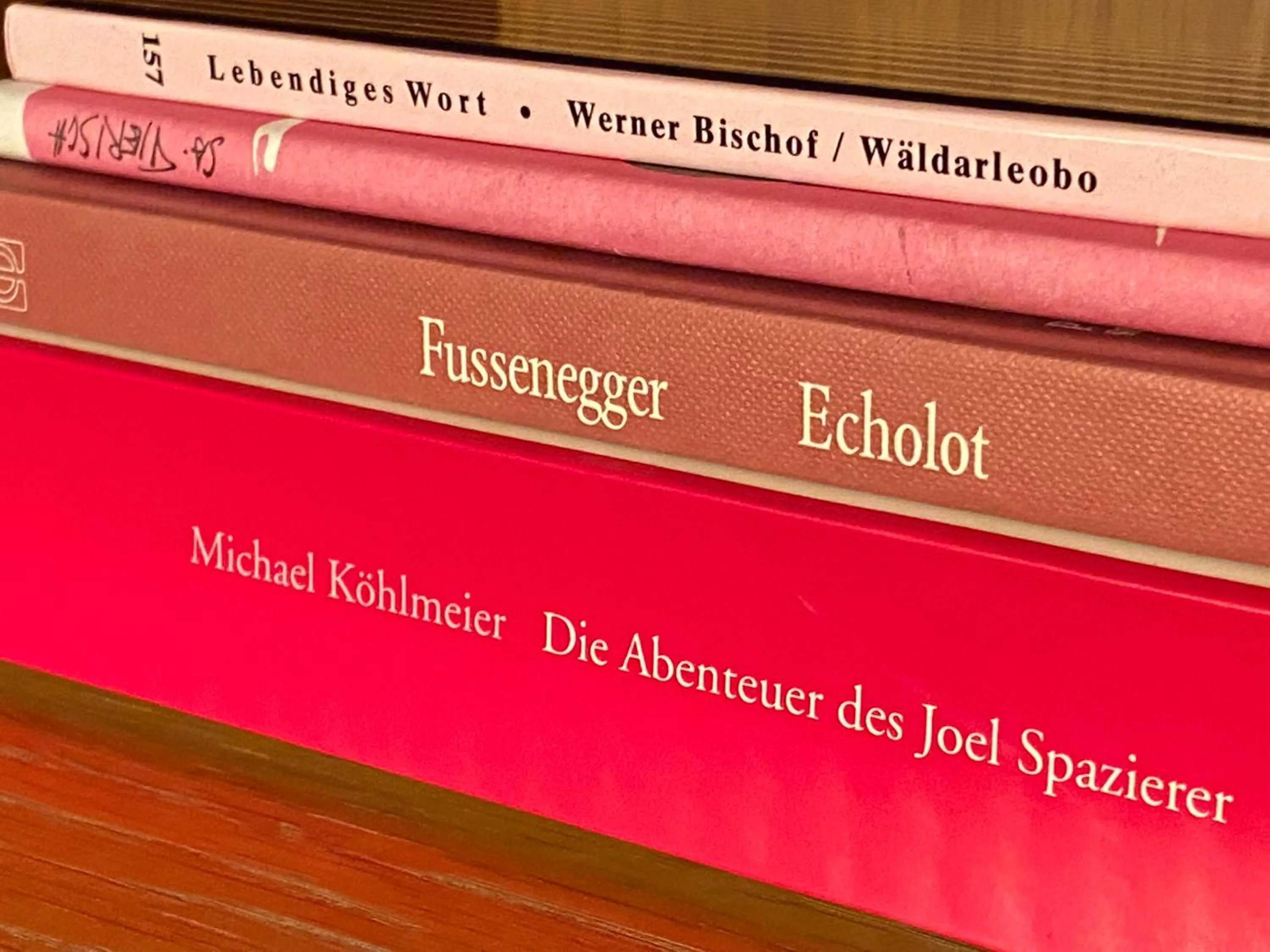 Library in Stadthotel Helvetia