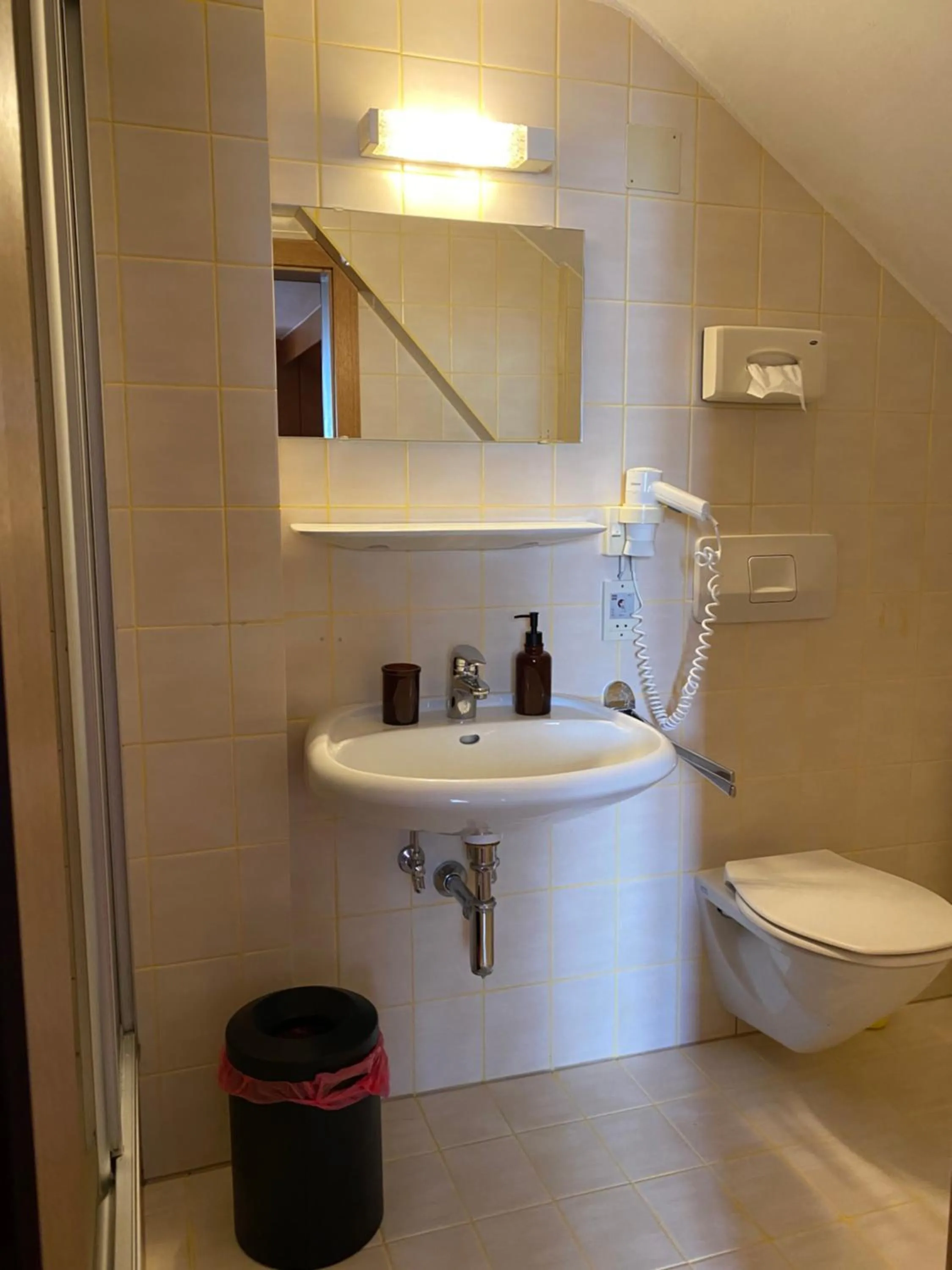 Toilet in Stadthotel Helvetia