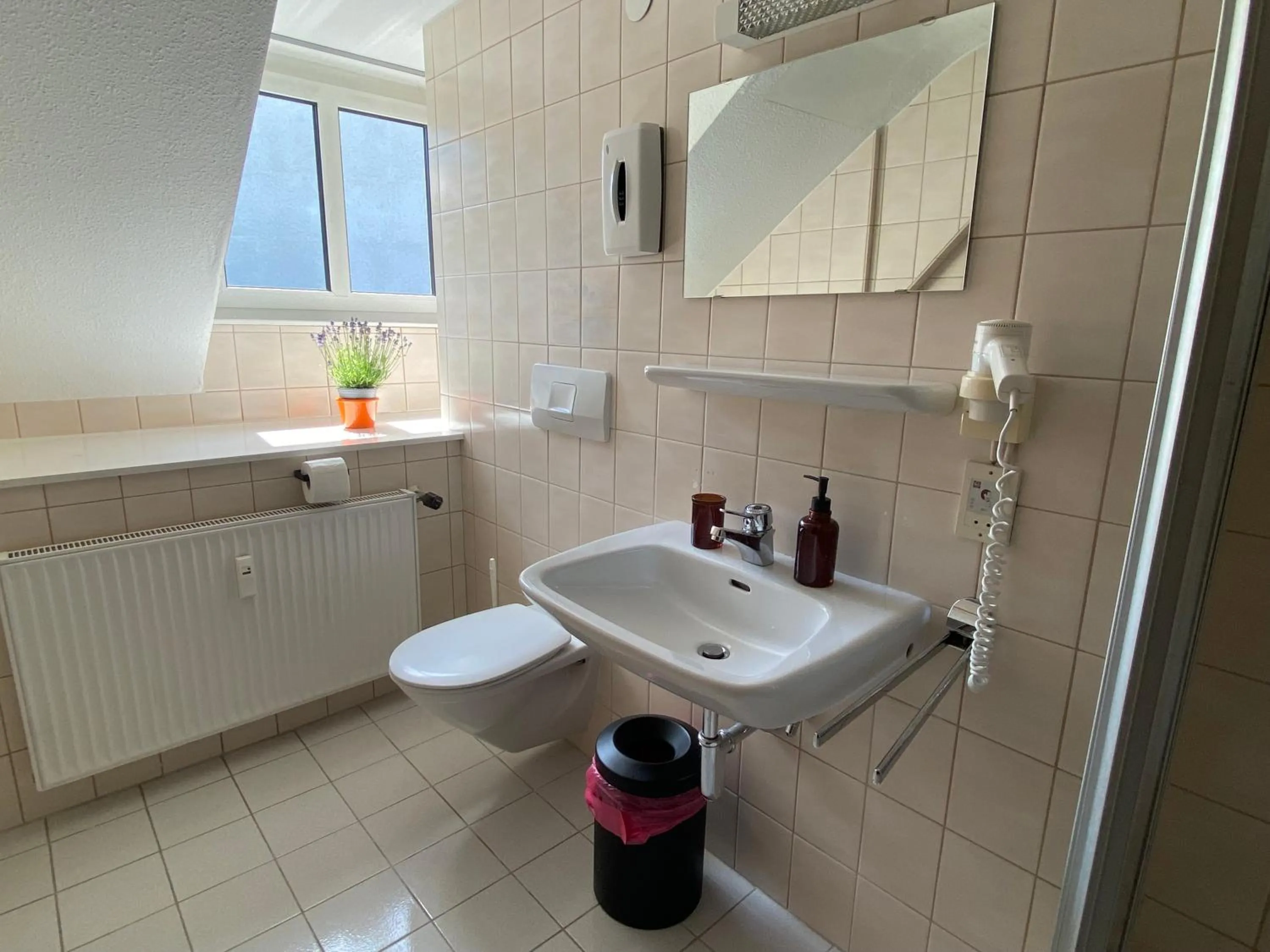 Toilet in Stadthotel Helvetia