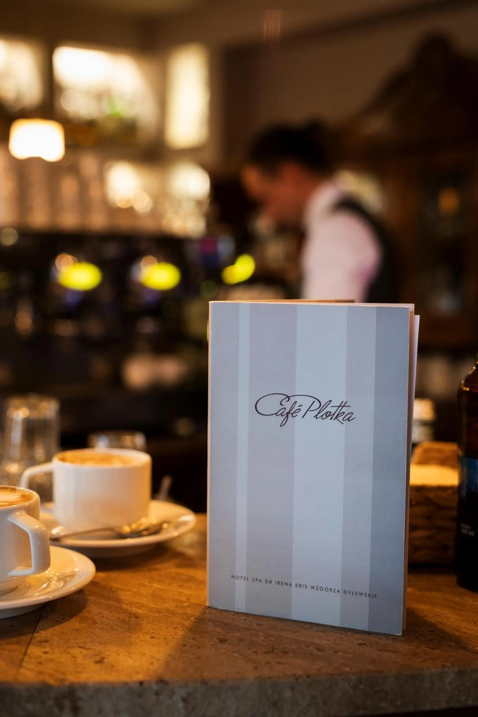 Hotel SPA Dr Irena Eris Wzgórza Dylewskie