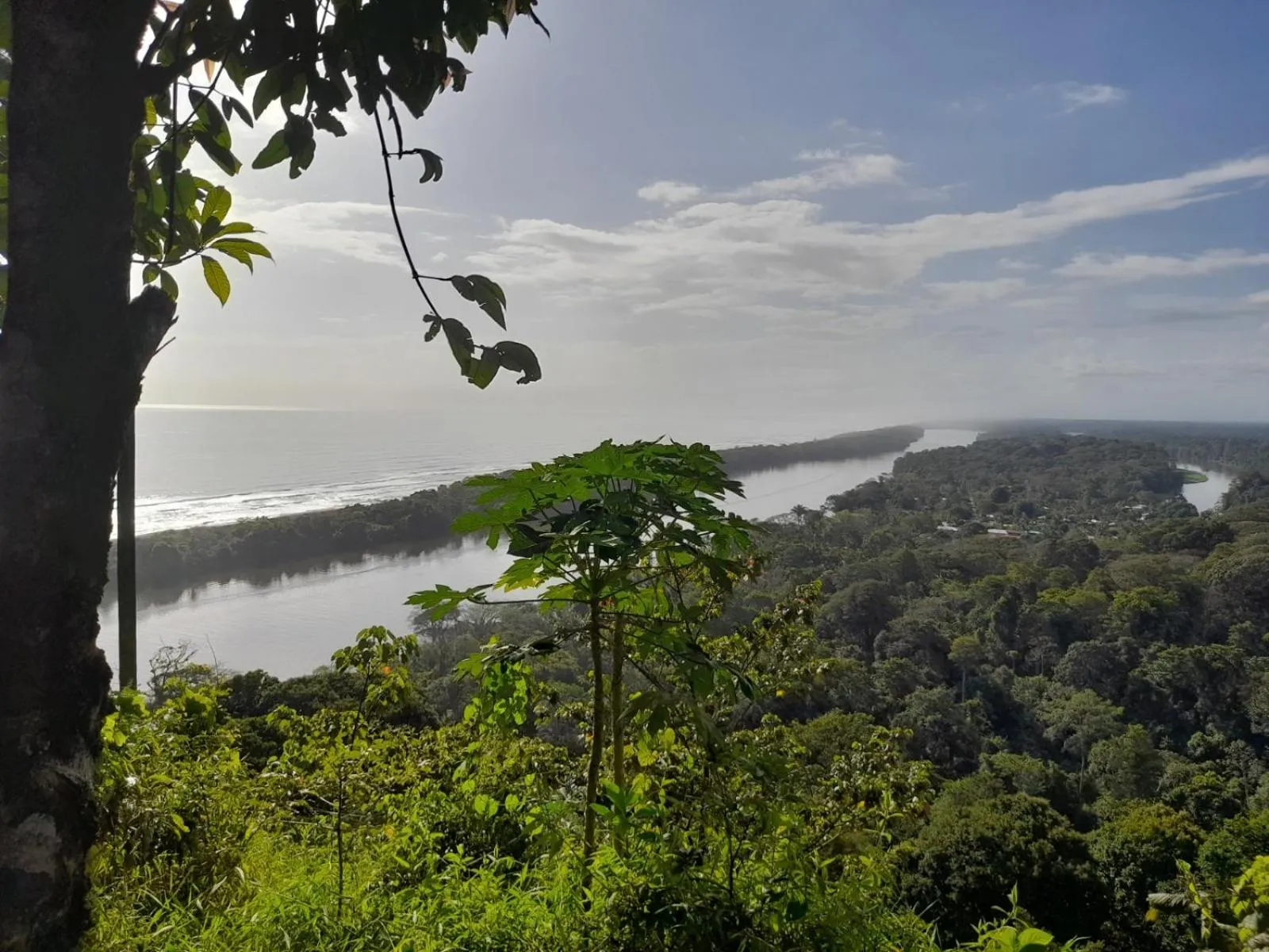 Natural landscape in Hotel Serendipity