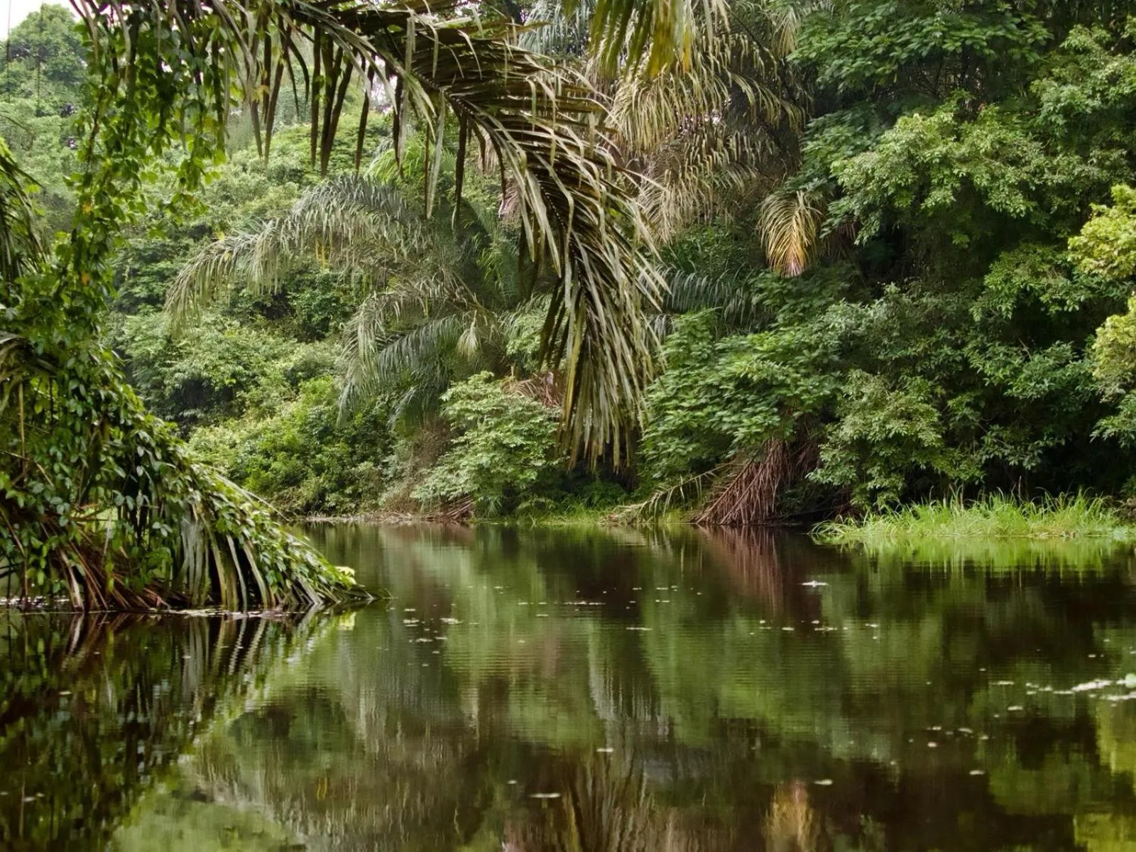 Natural landscape in Hotel Serendipity