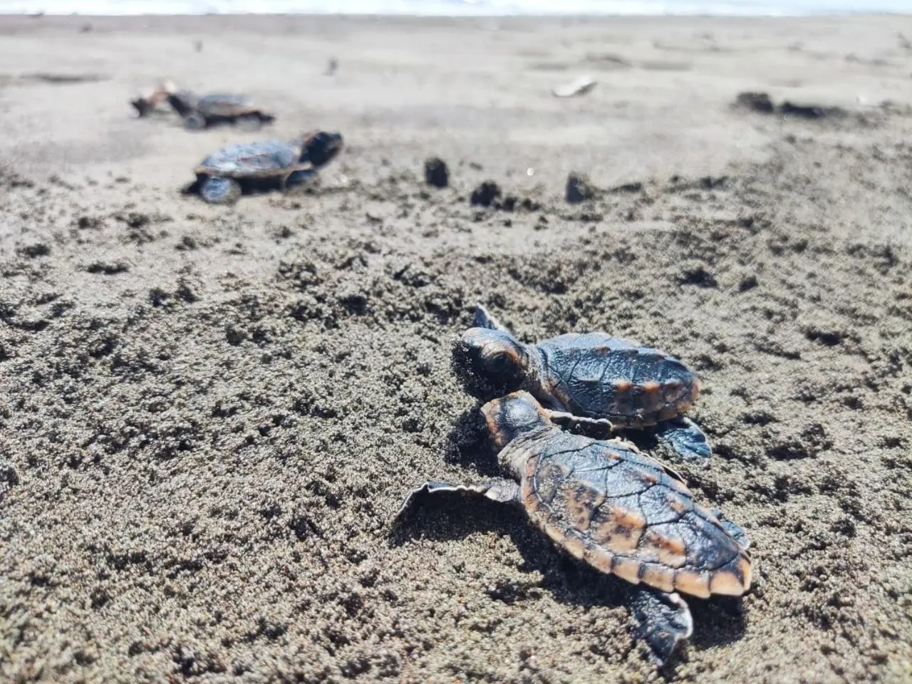 Day in Hotel Serendipity